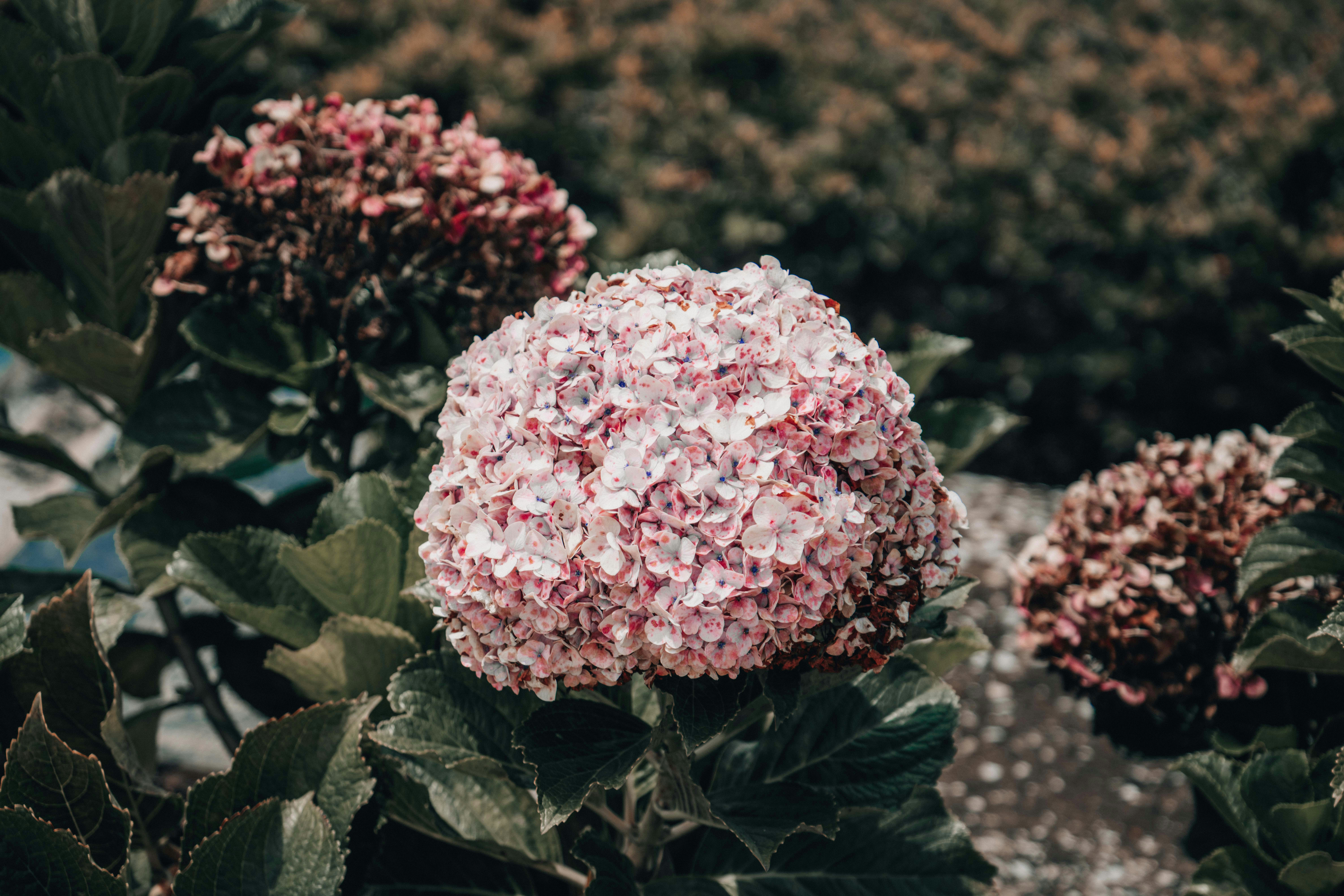 Photo by annastampfli