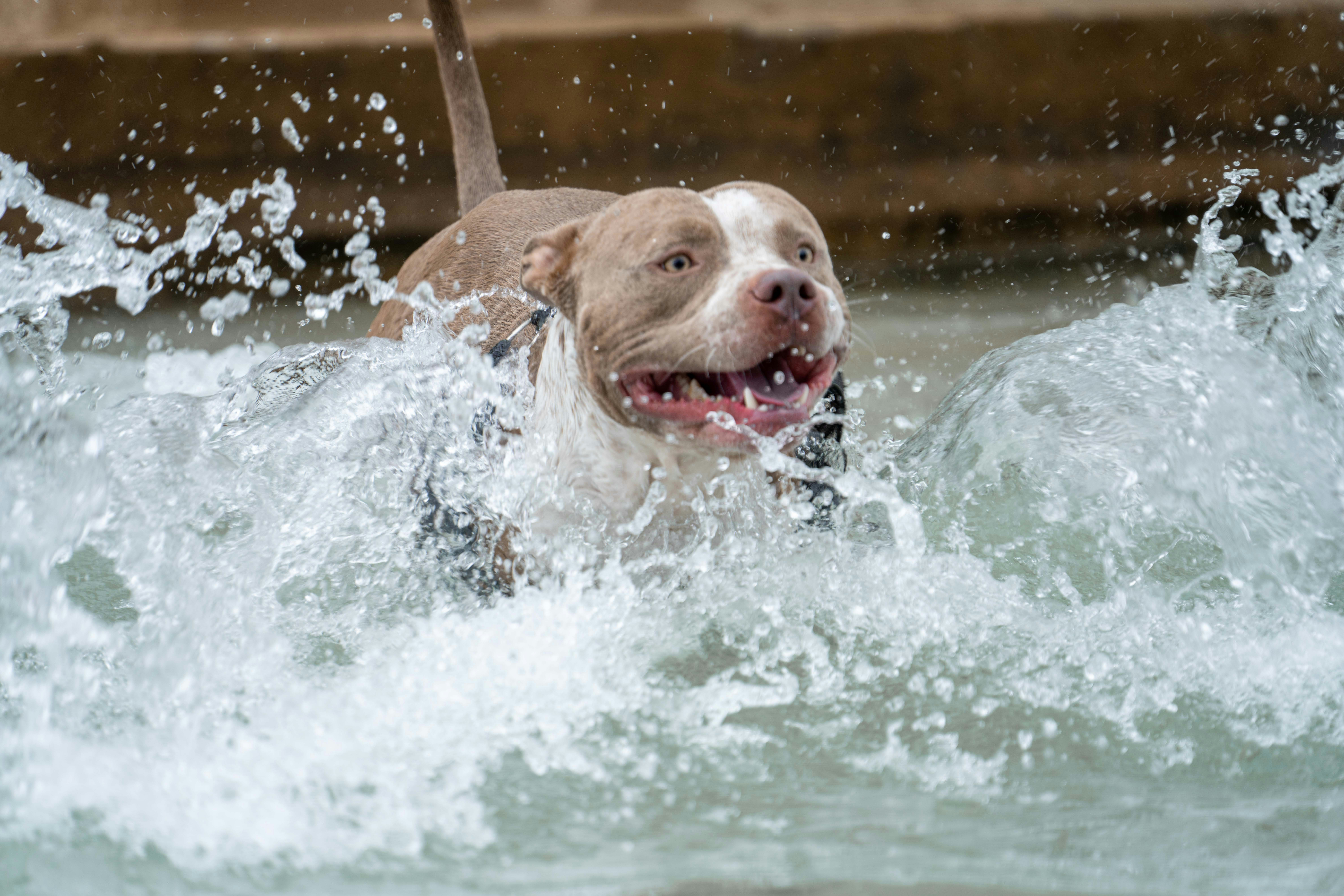 Photo by annastampfli