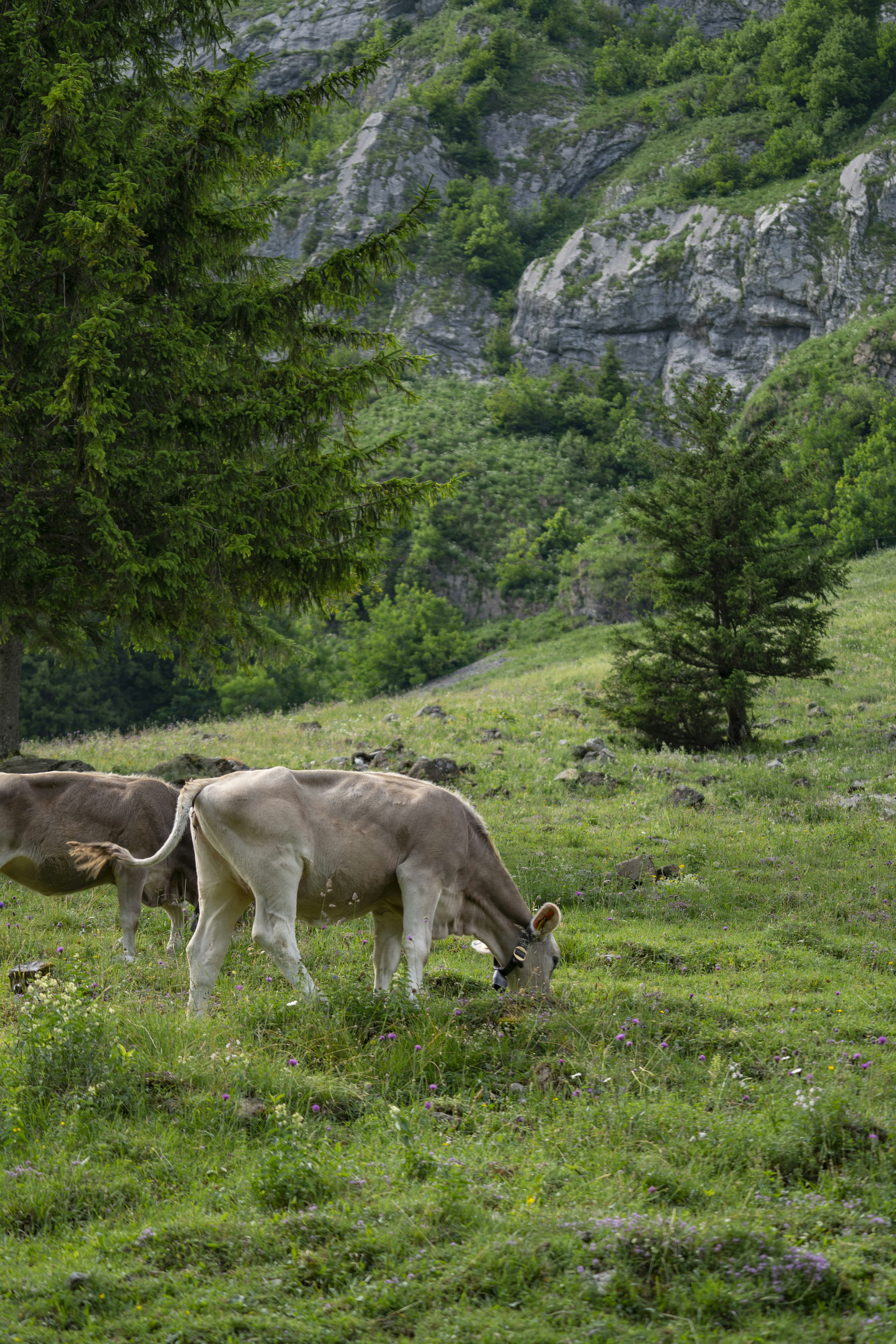Photo by opohmelka