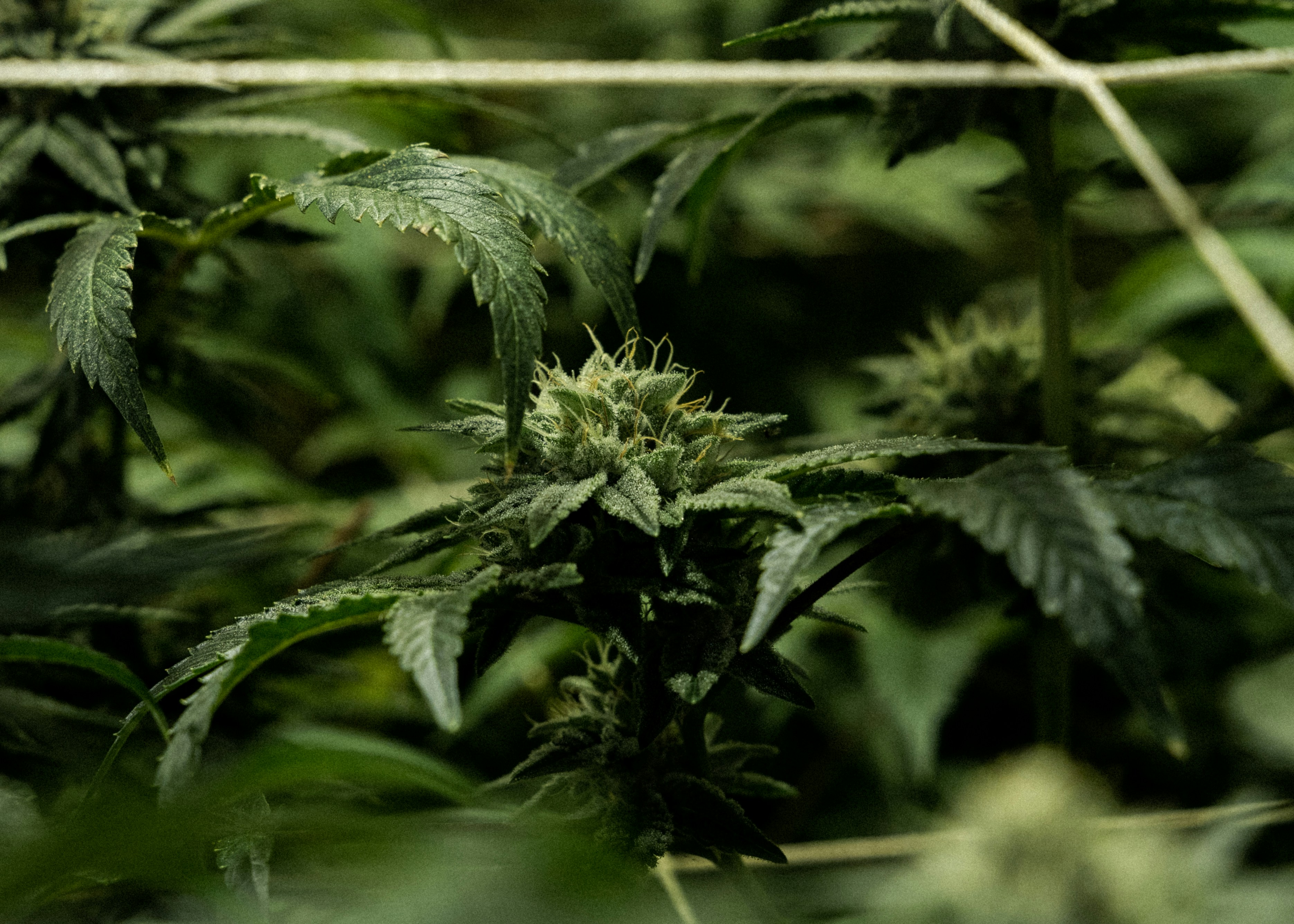 Photo by kevin_turcios