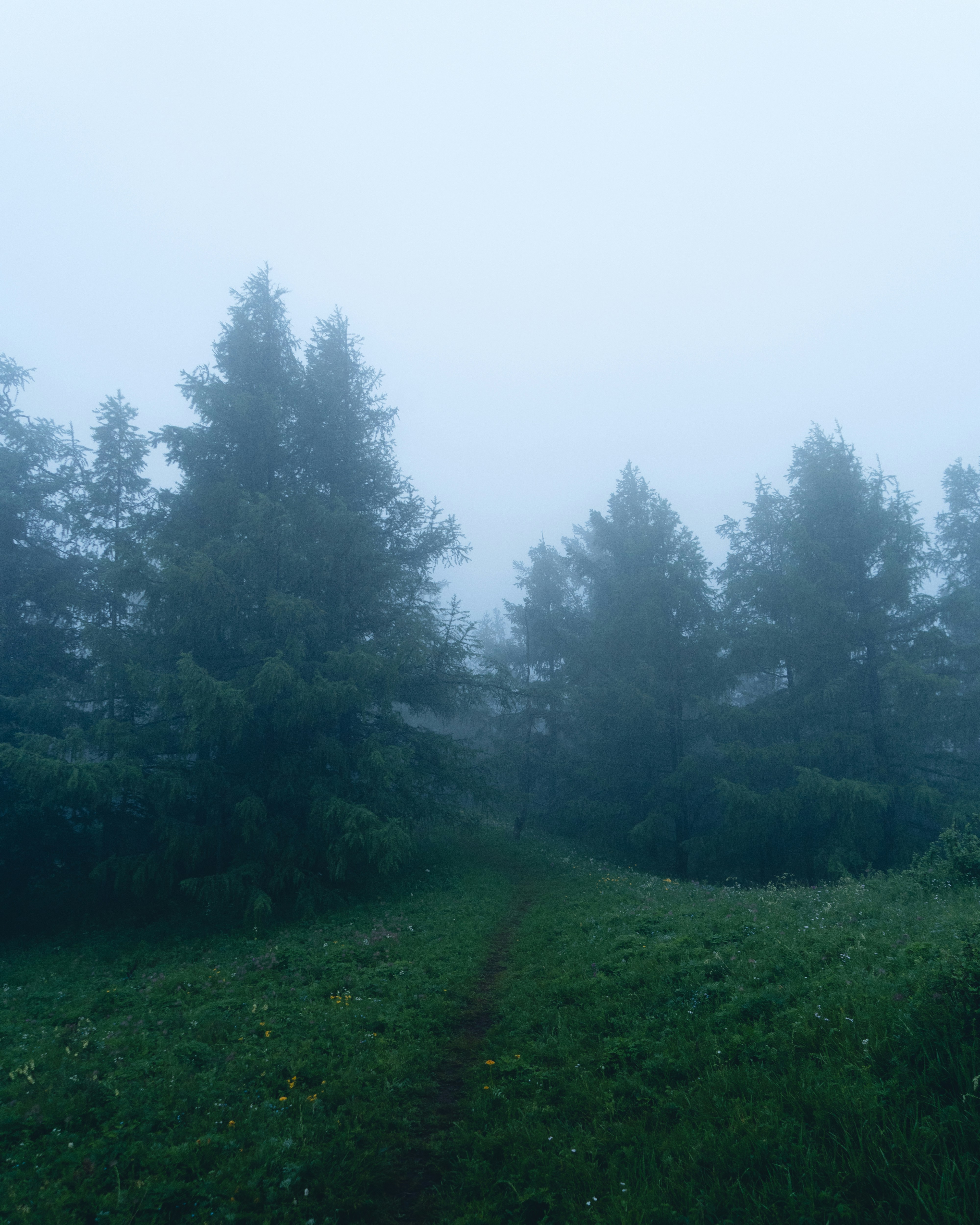 Photo by naranbayar_1