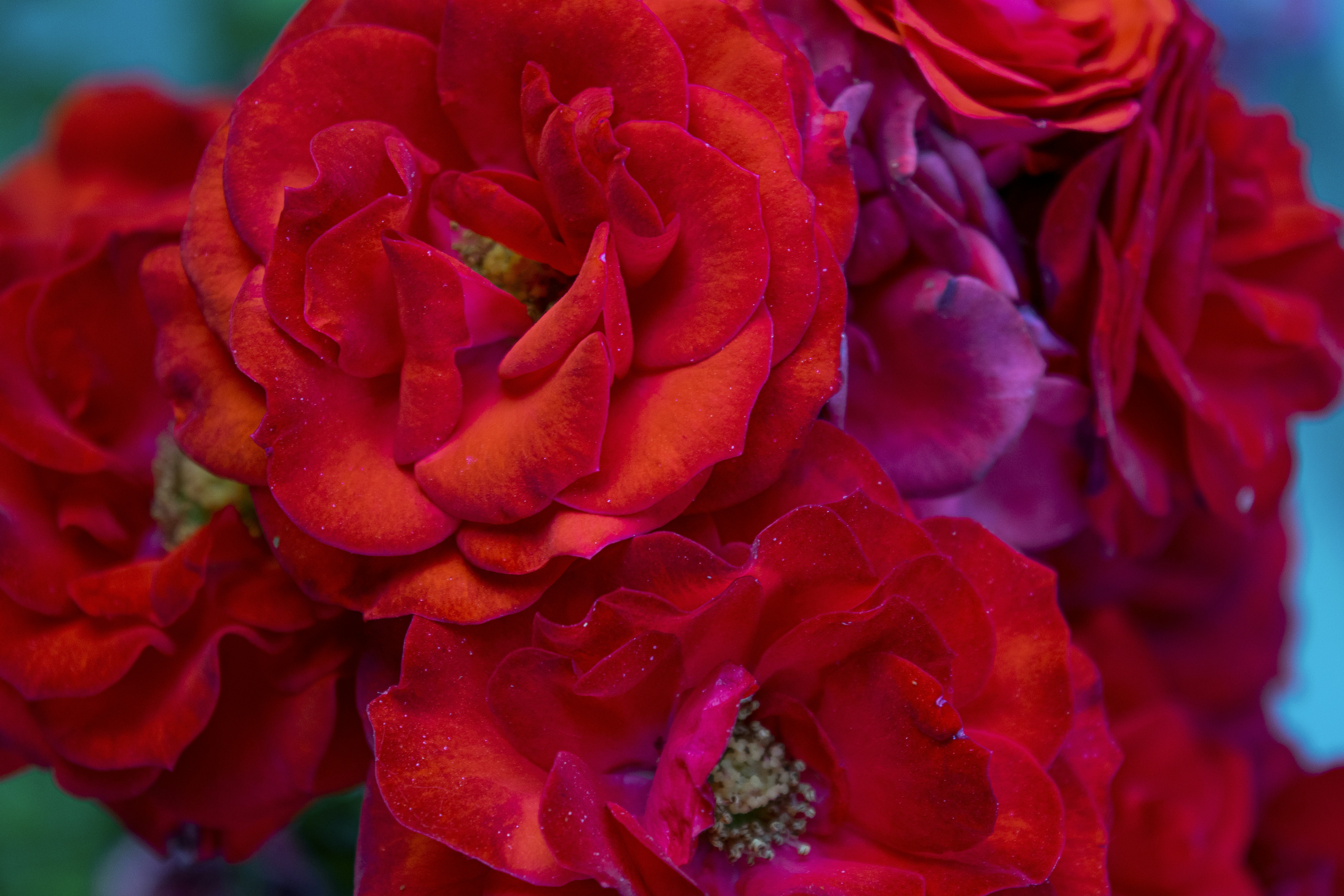 Photo by alimousavi1400