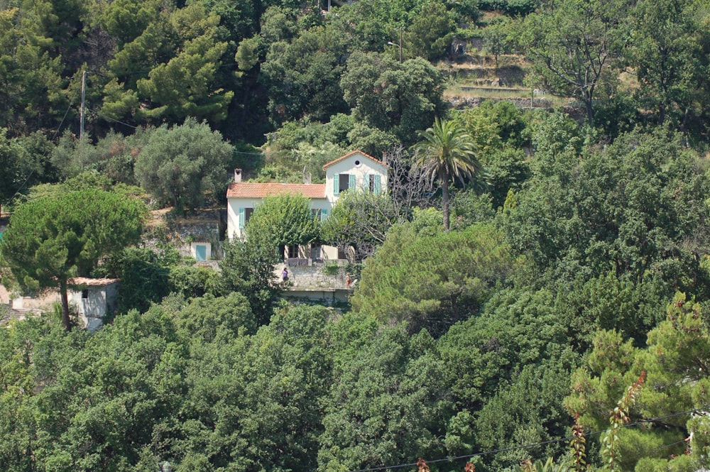 white and brown concrete house surrounded by green trees during daytime