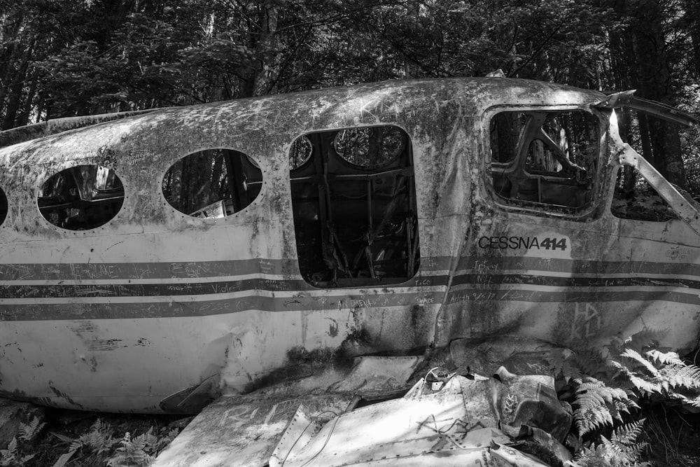 grayscale photo of train in the forest