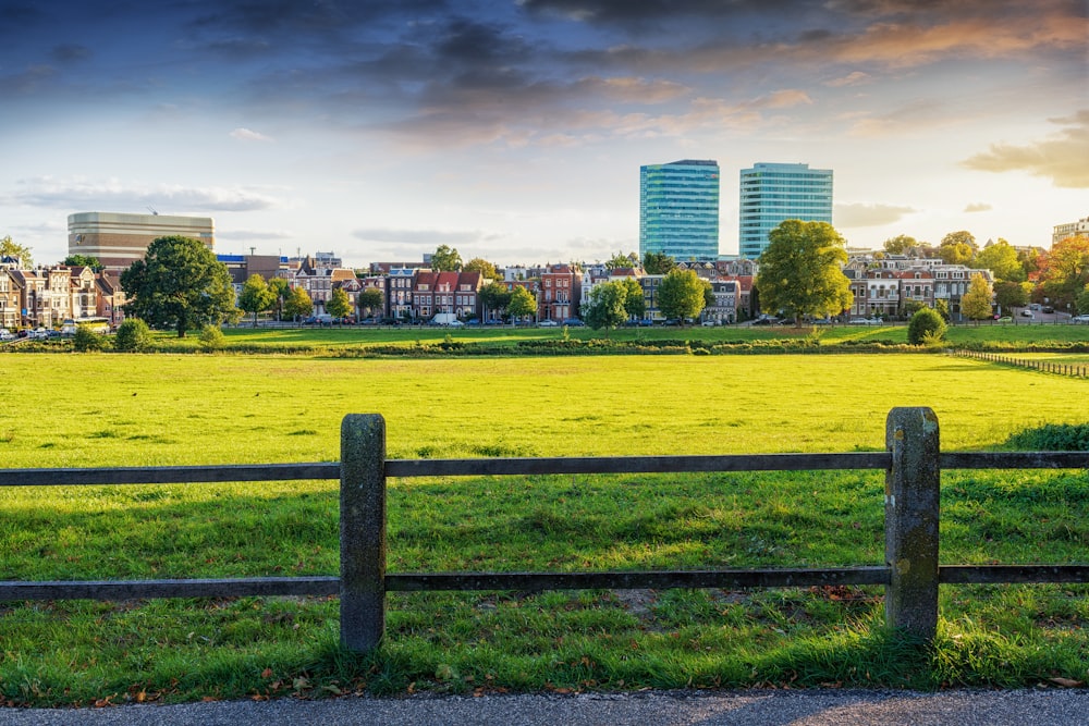 green grass field near city buildings under blue sky during daytime