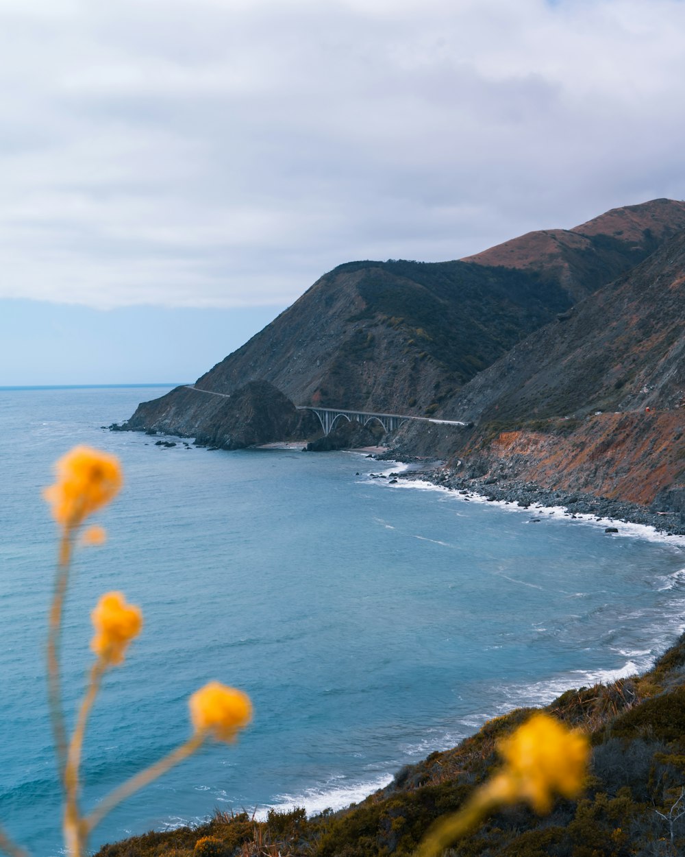 brown and green mountain beside sea during daytime