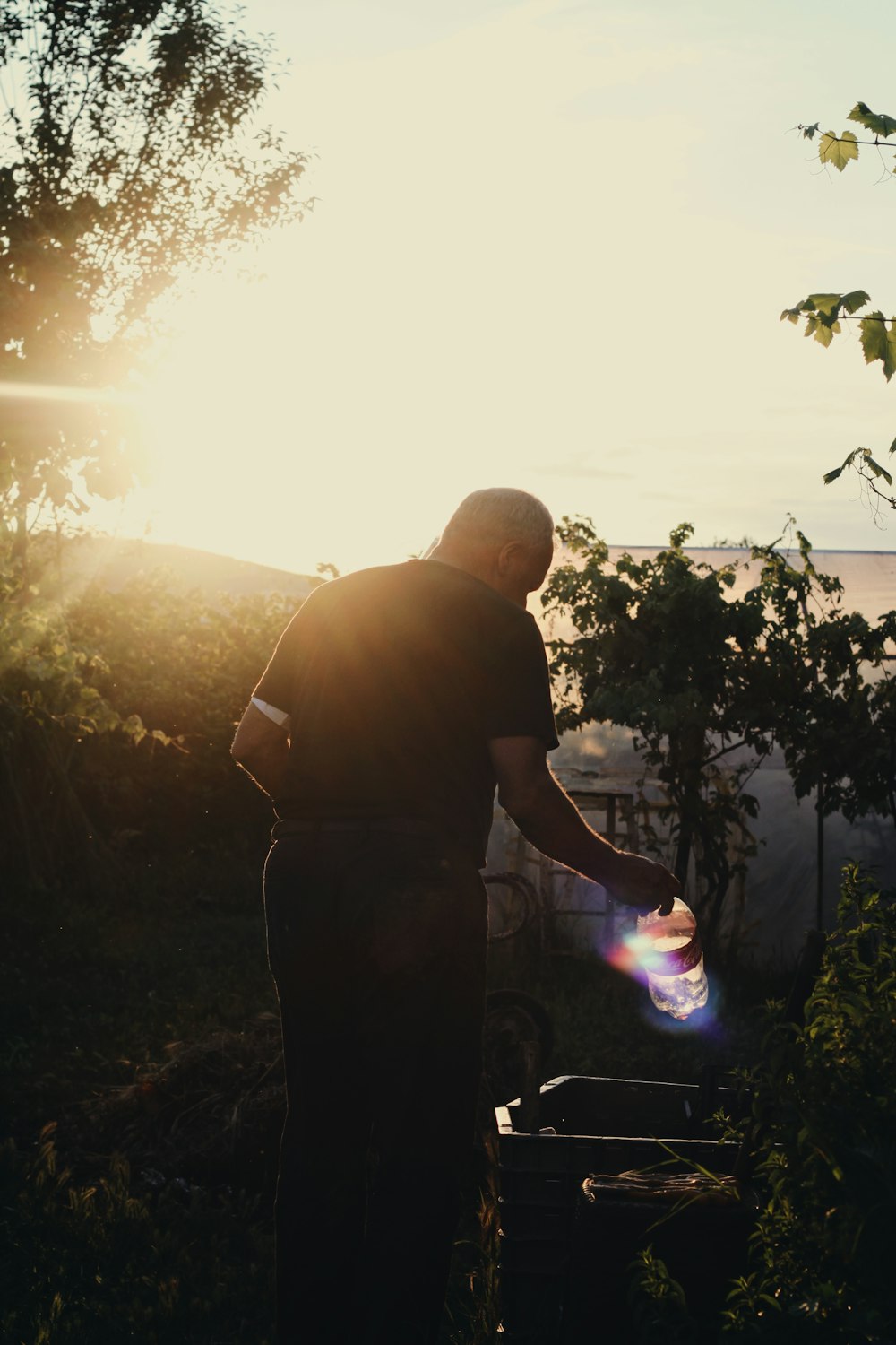 man in black shirt standing near green plants during daytime