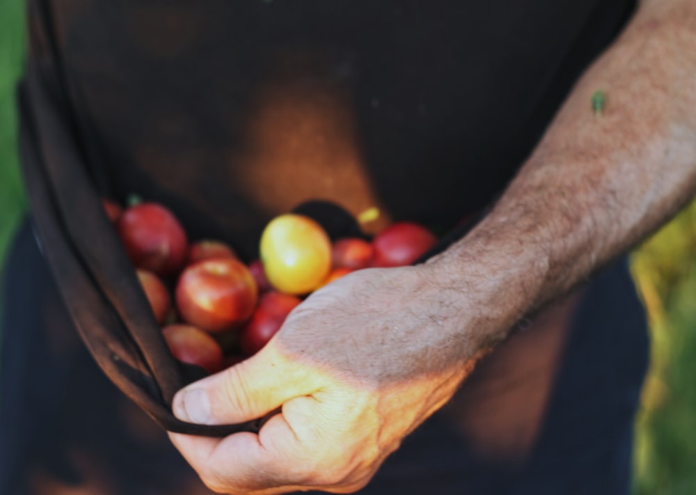 person holding red and yellow fruits