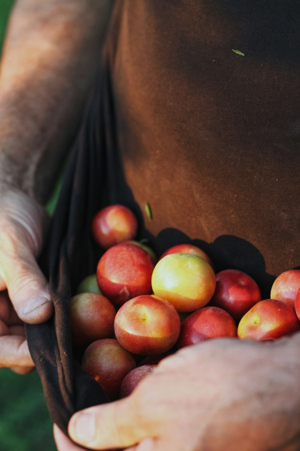 red and yellow apples on brown wooden table