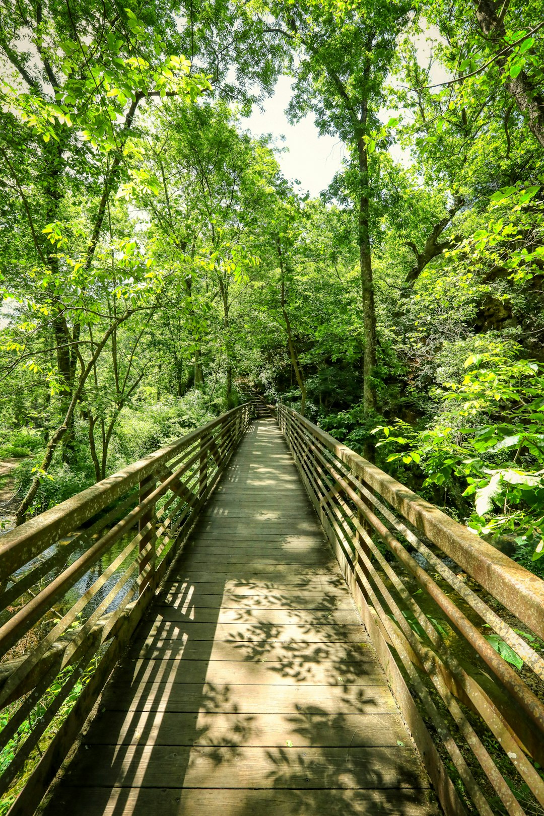 brown wooden bridge in the forest during daytime