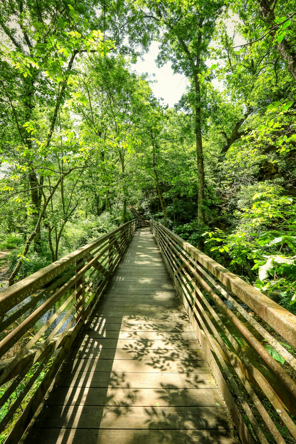 brown wooden bridge in the forest during daytime