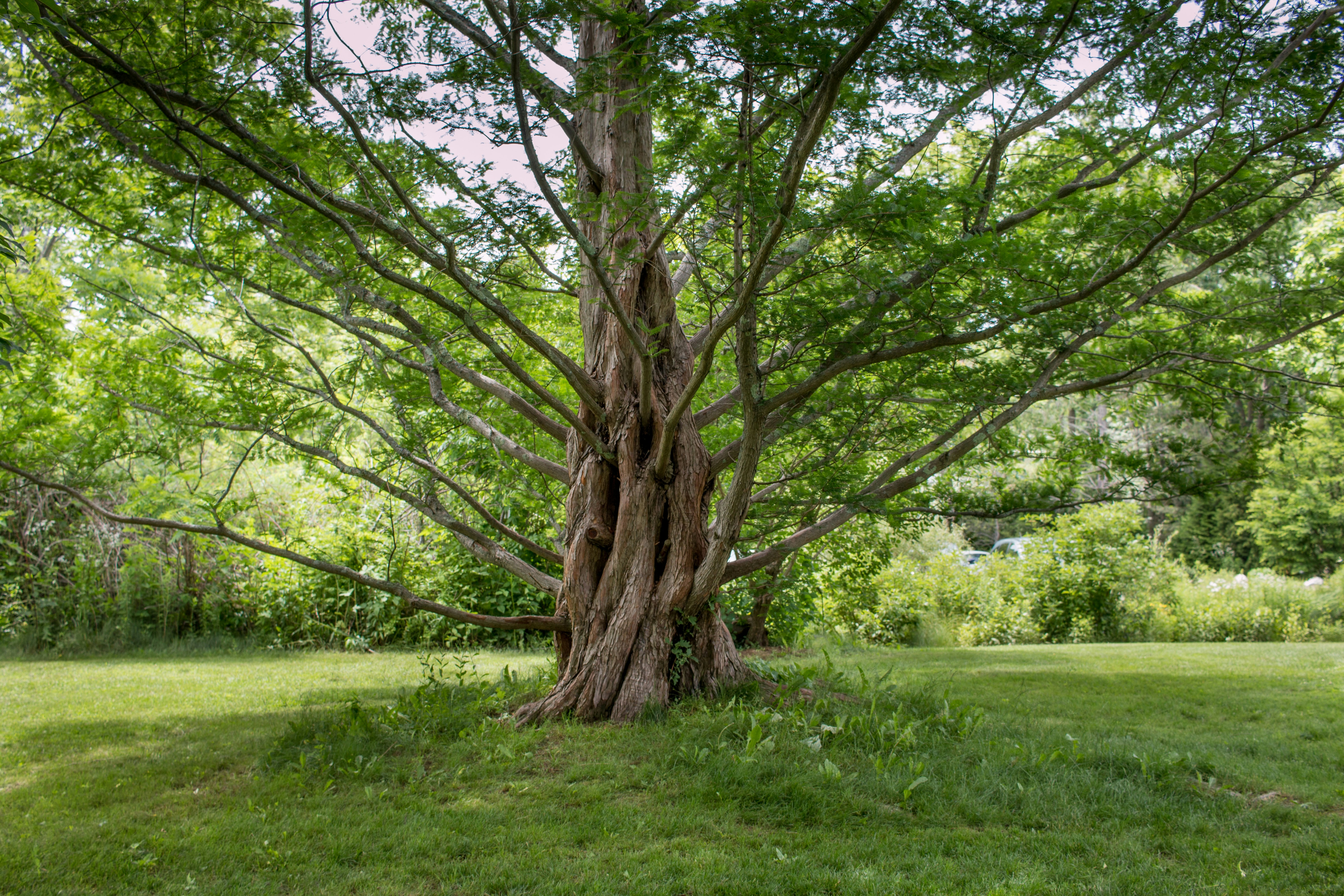 Photo by jimladeroutenewengland