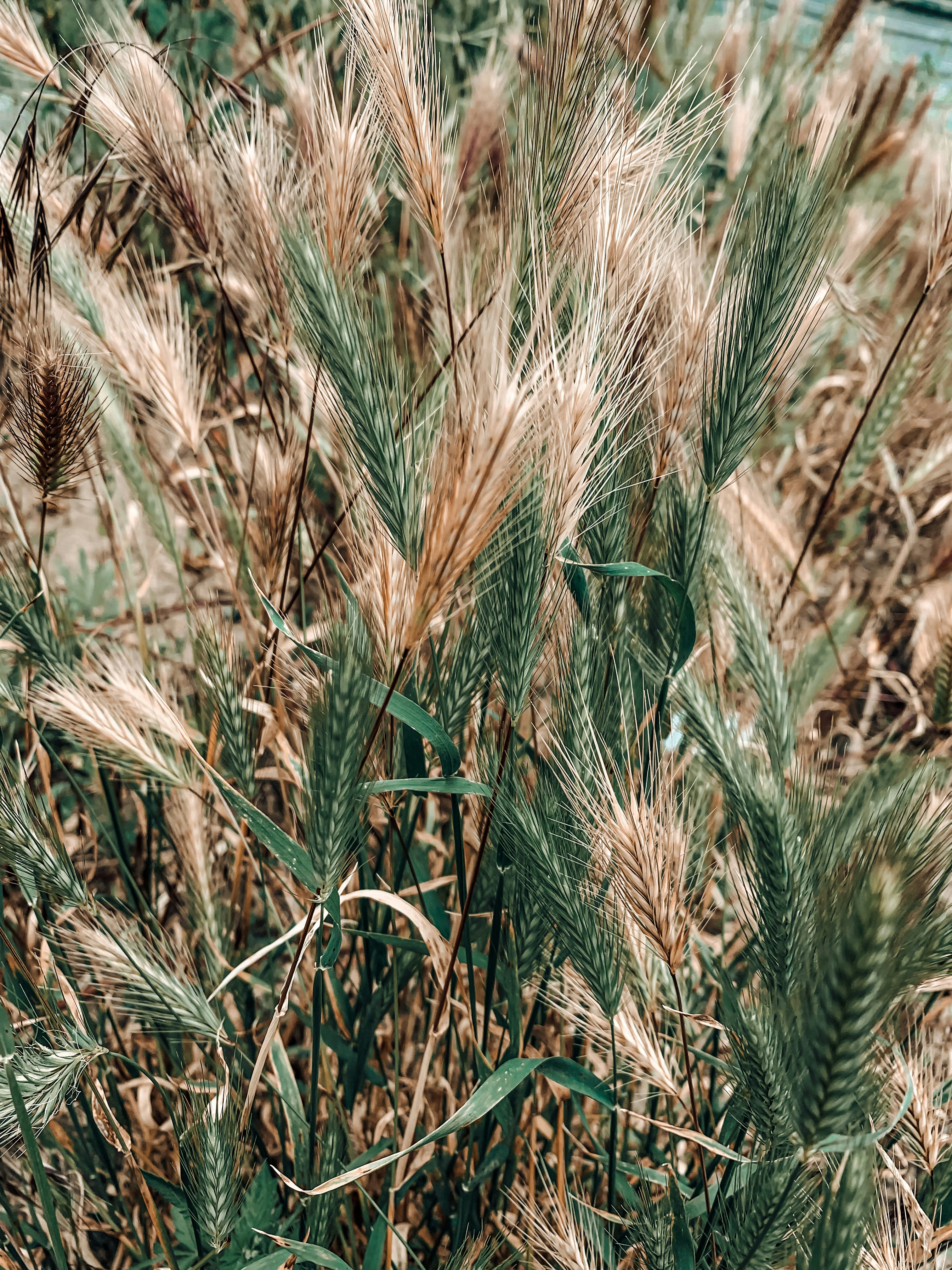 Photo by lisaobrien