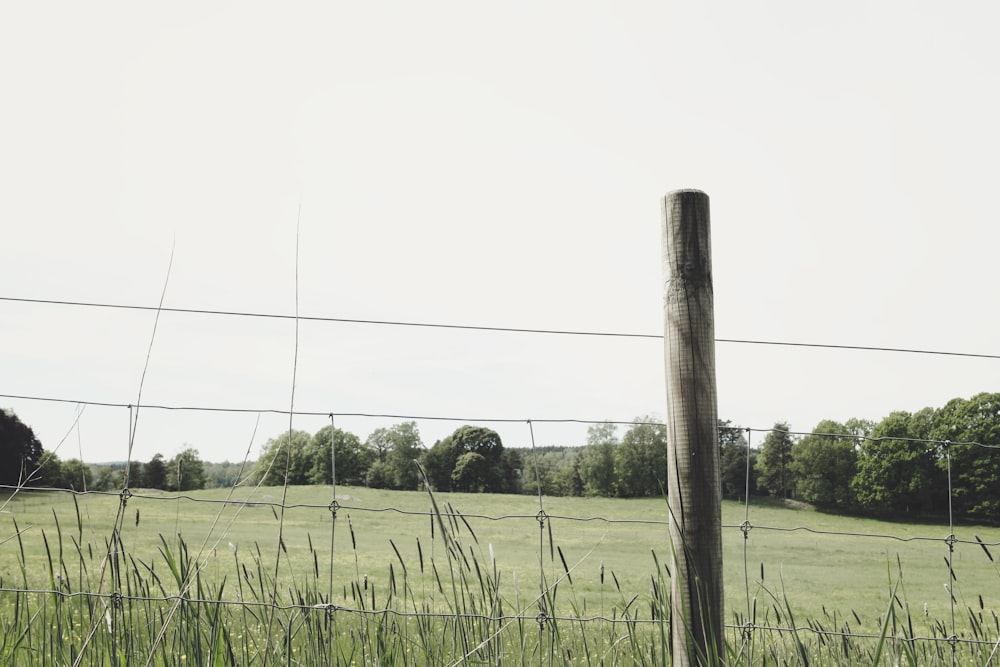 brown wooden post on green grass field during daytime