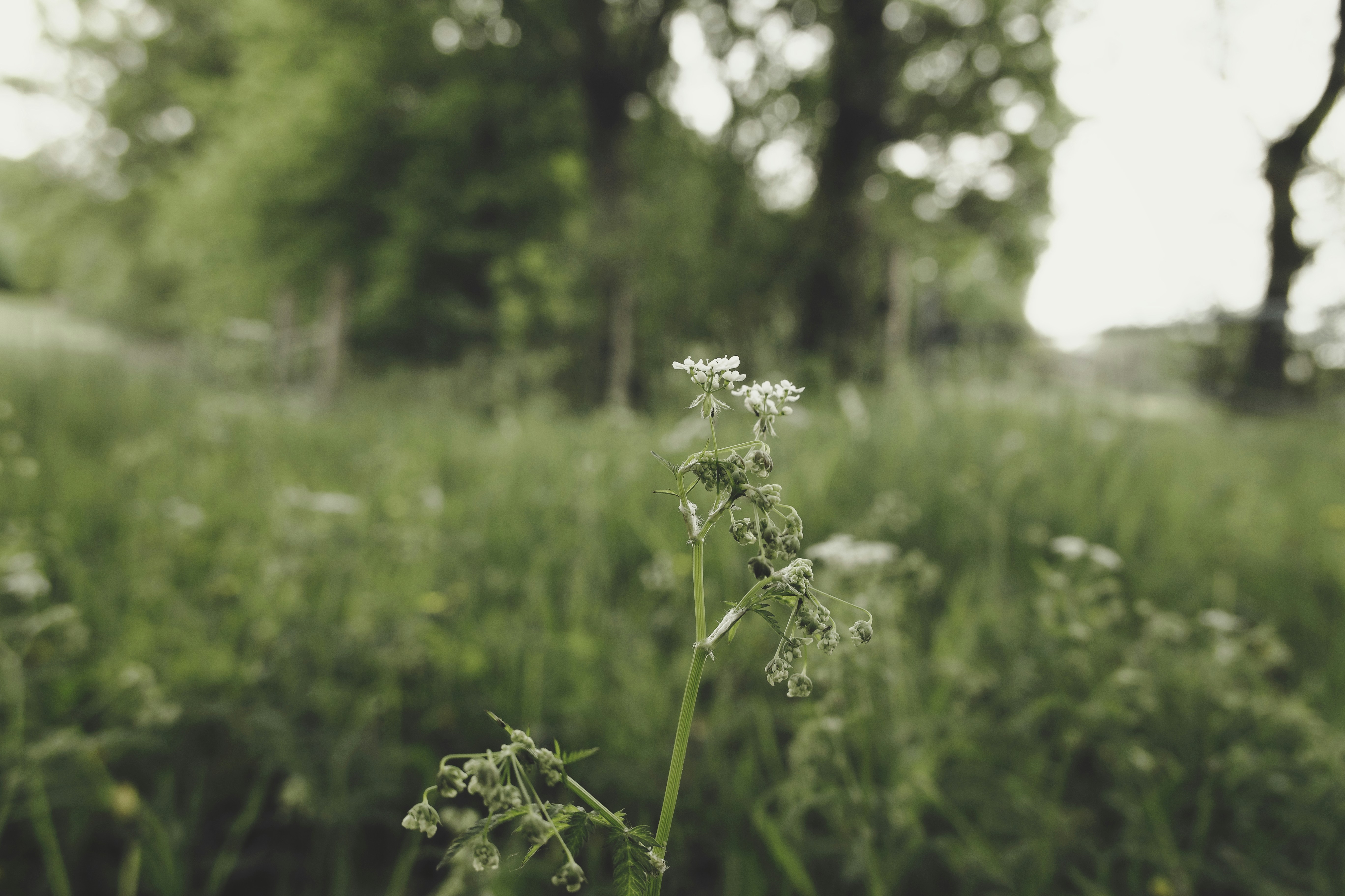 Photo by momentsbyebba