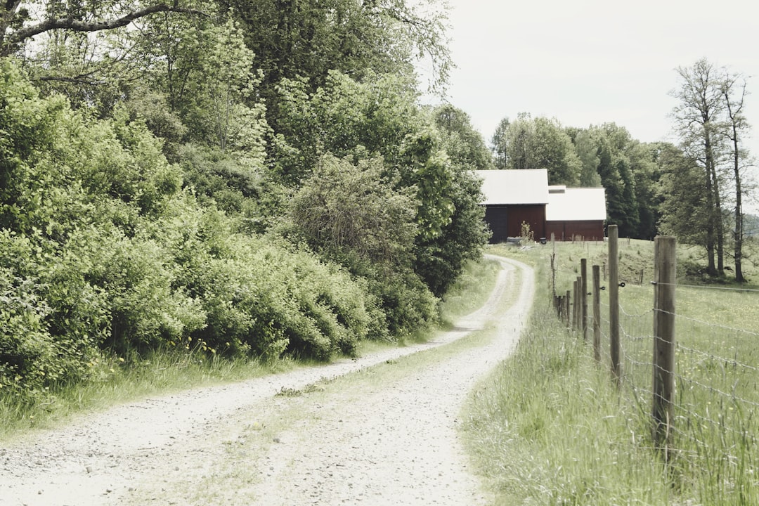 Ramble Round the Lakes: 10 Charming Airbnbs in England's Picturesqu… — Ramble Round the Lakes