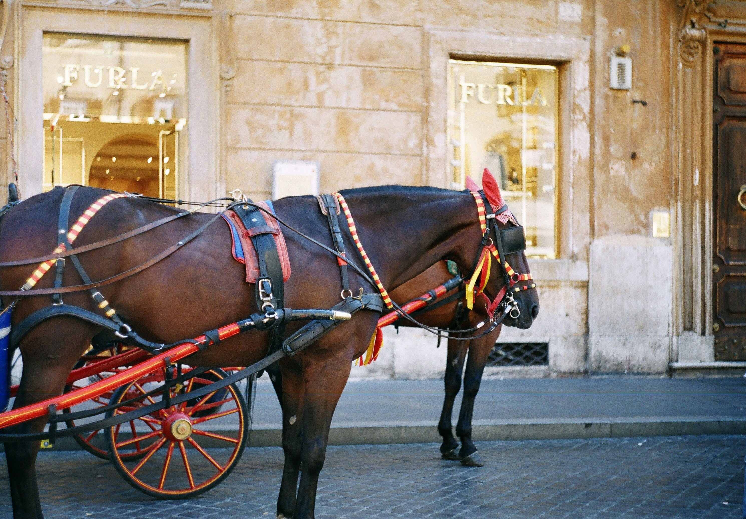 Photo by olgaanoshkina