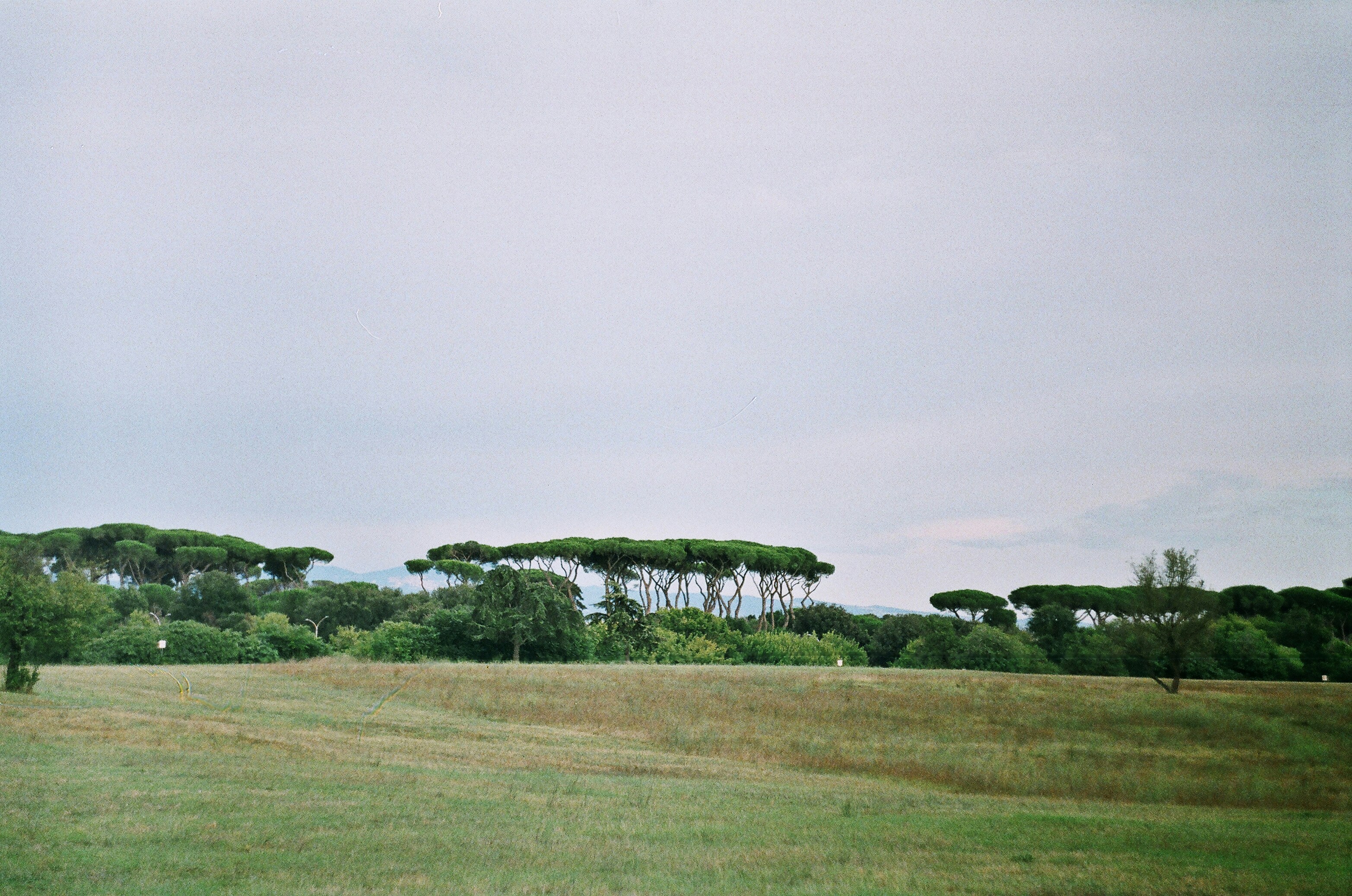 Photo by olgaanoshkina