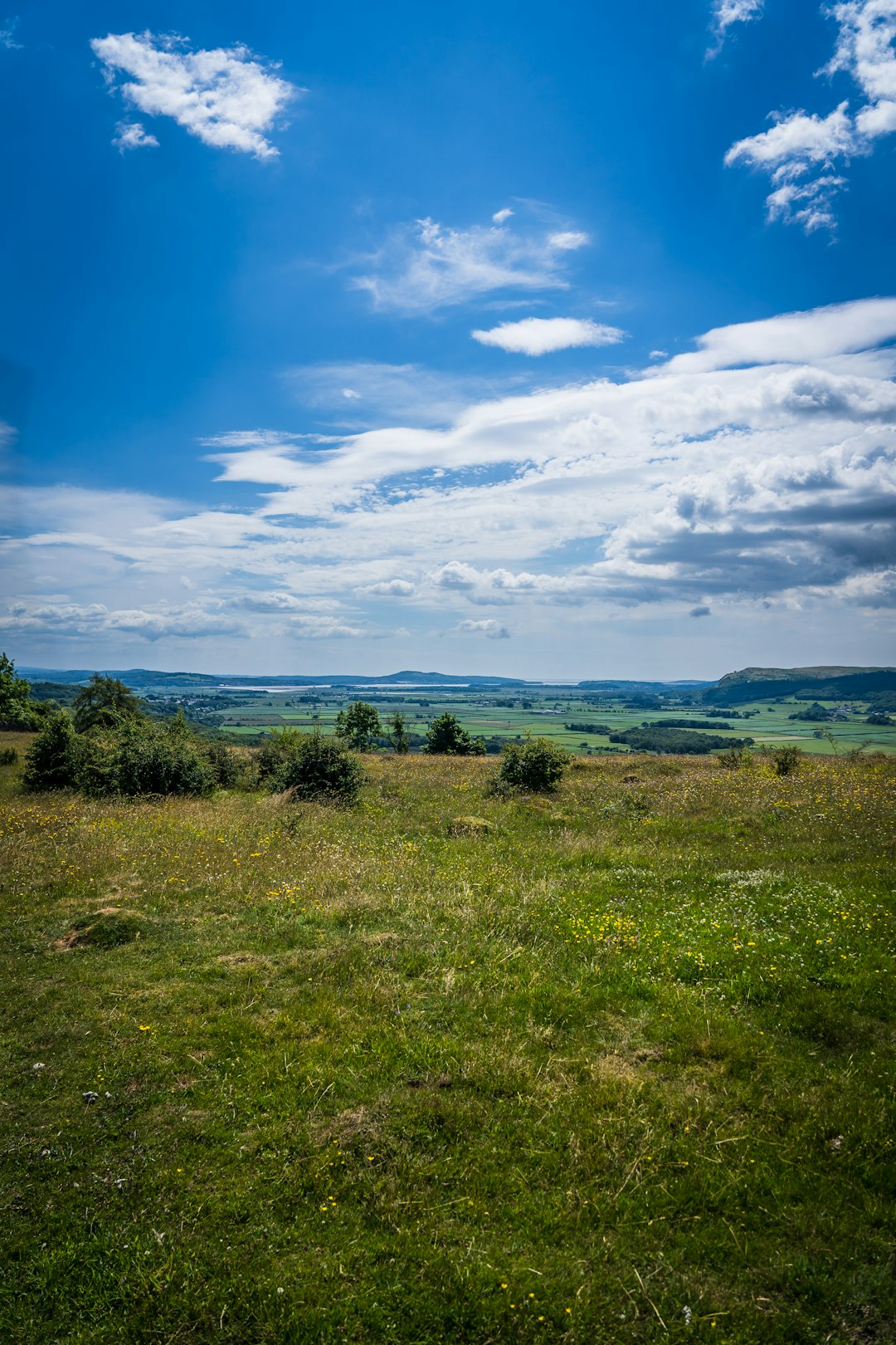 green grass field under blue sky and white clouds during daytime