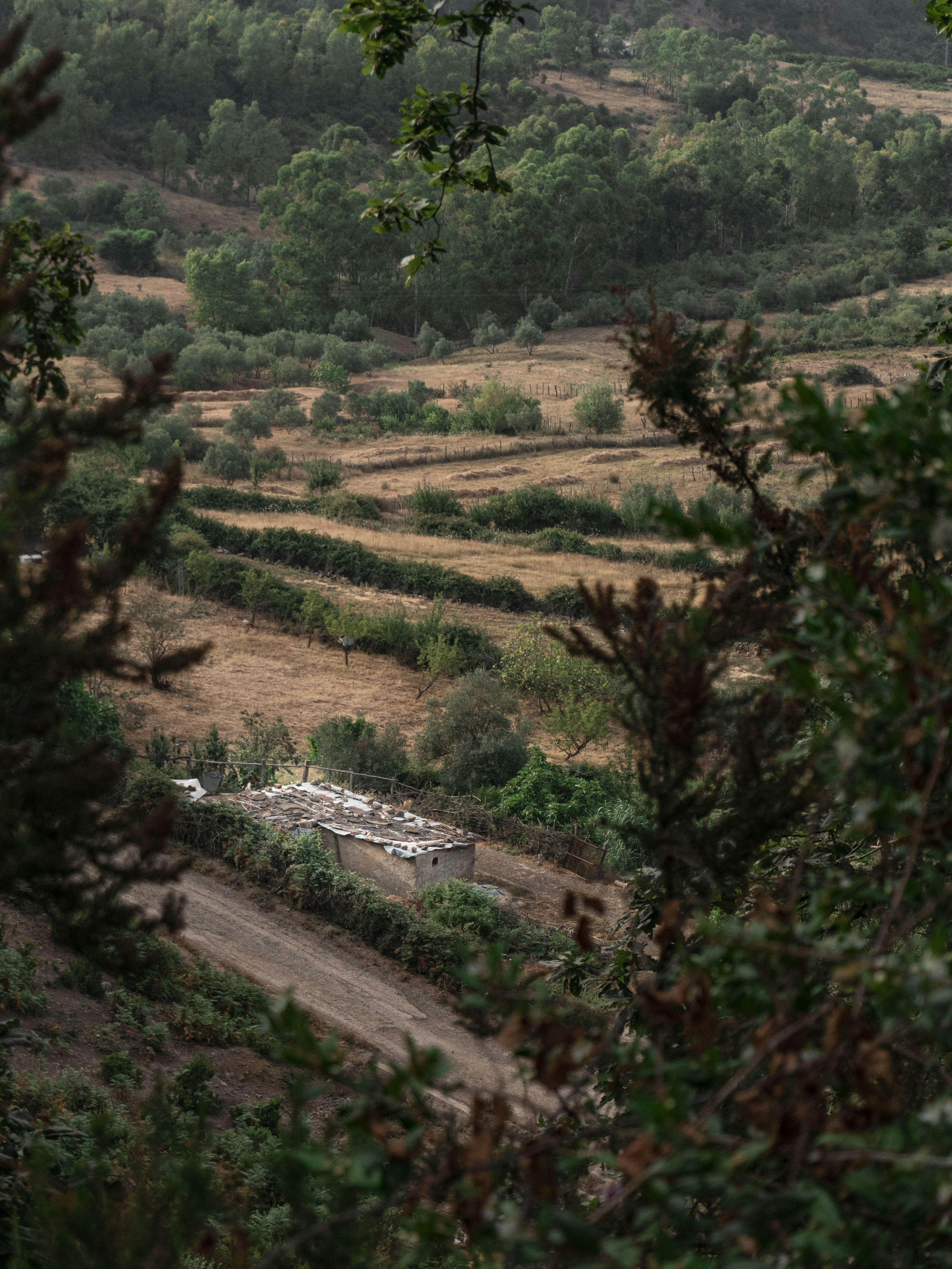 Photo by bilelzaghdoudi