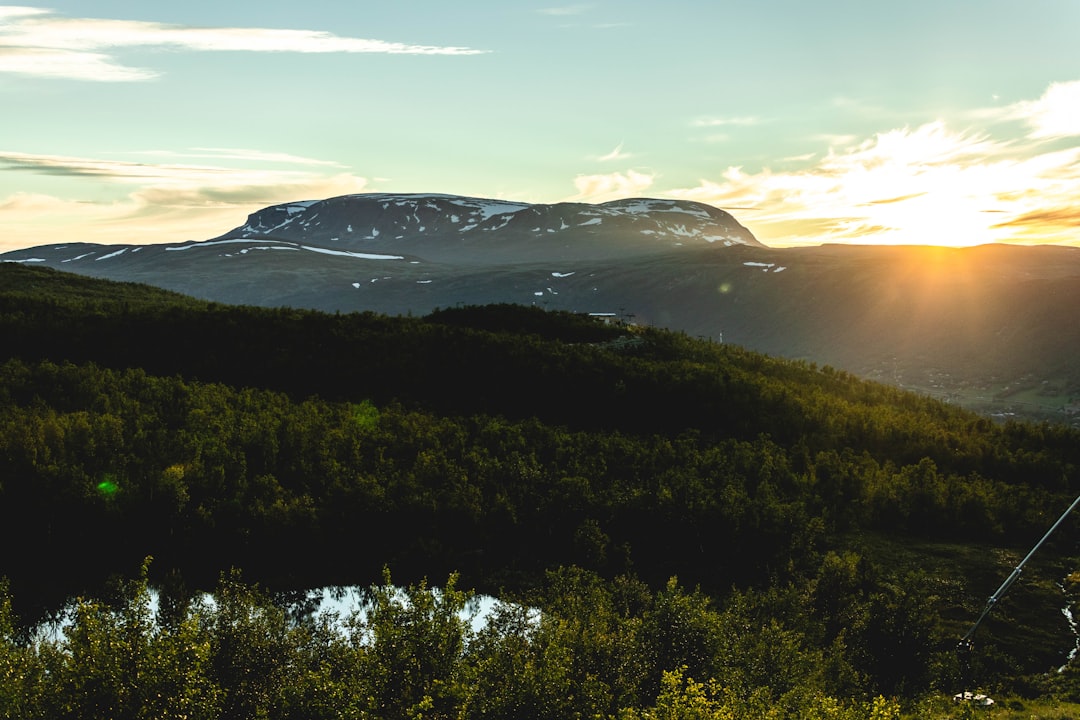 green trees near mountain during daytime