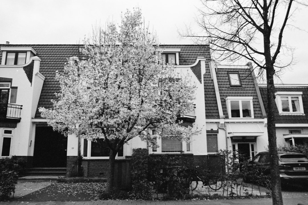 grayscale photo of tree near house