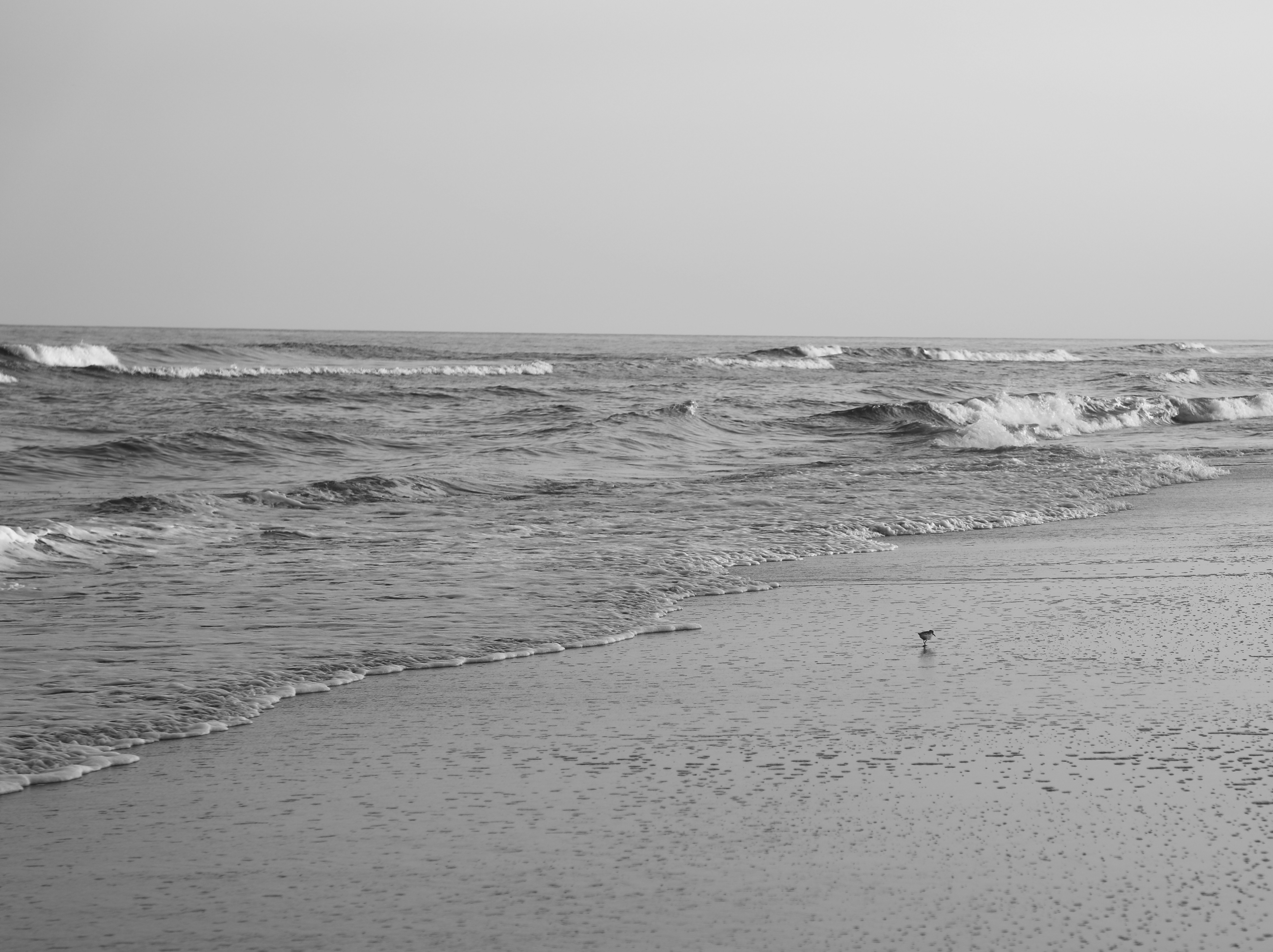 Photo by michaelbweidner