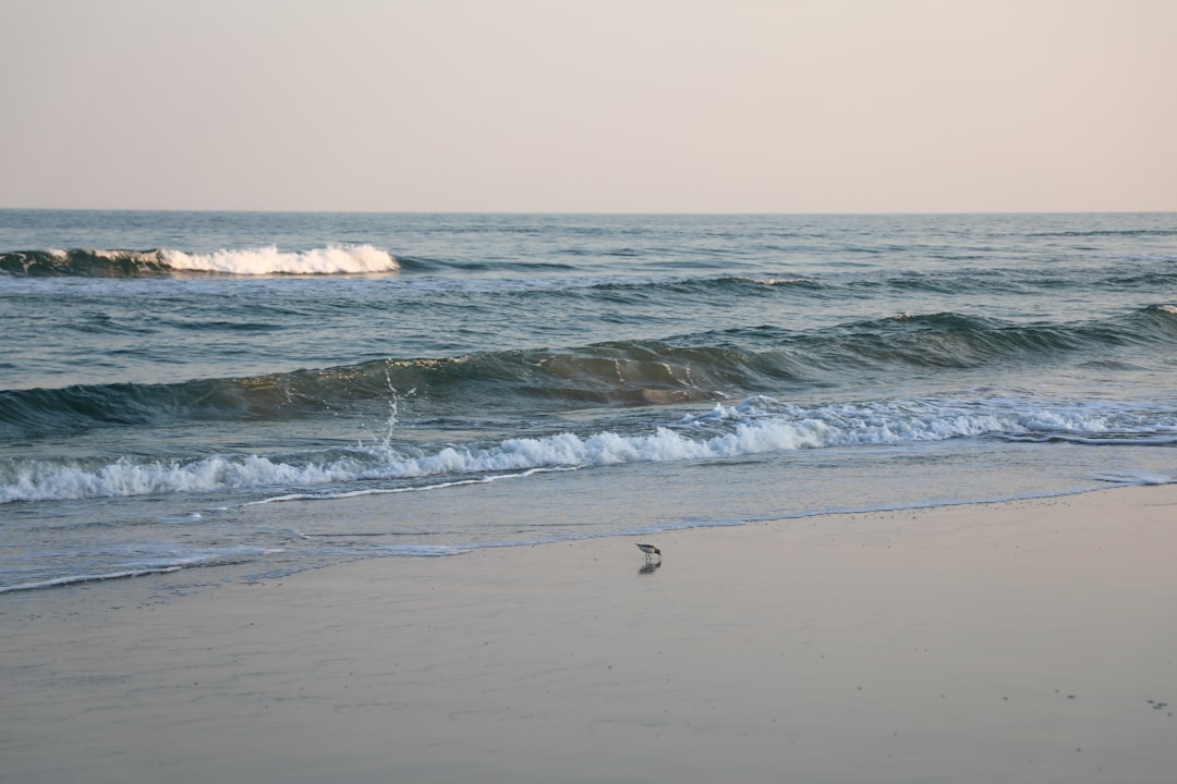 person surfing on sea waves during daytime