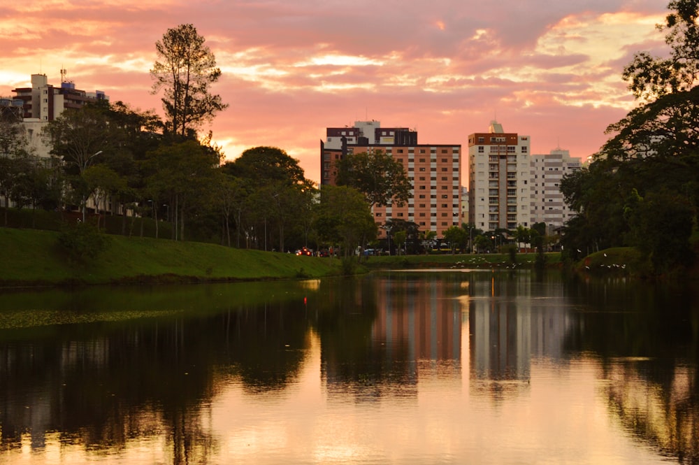 body of water near green grass field and trees during sunset