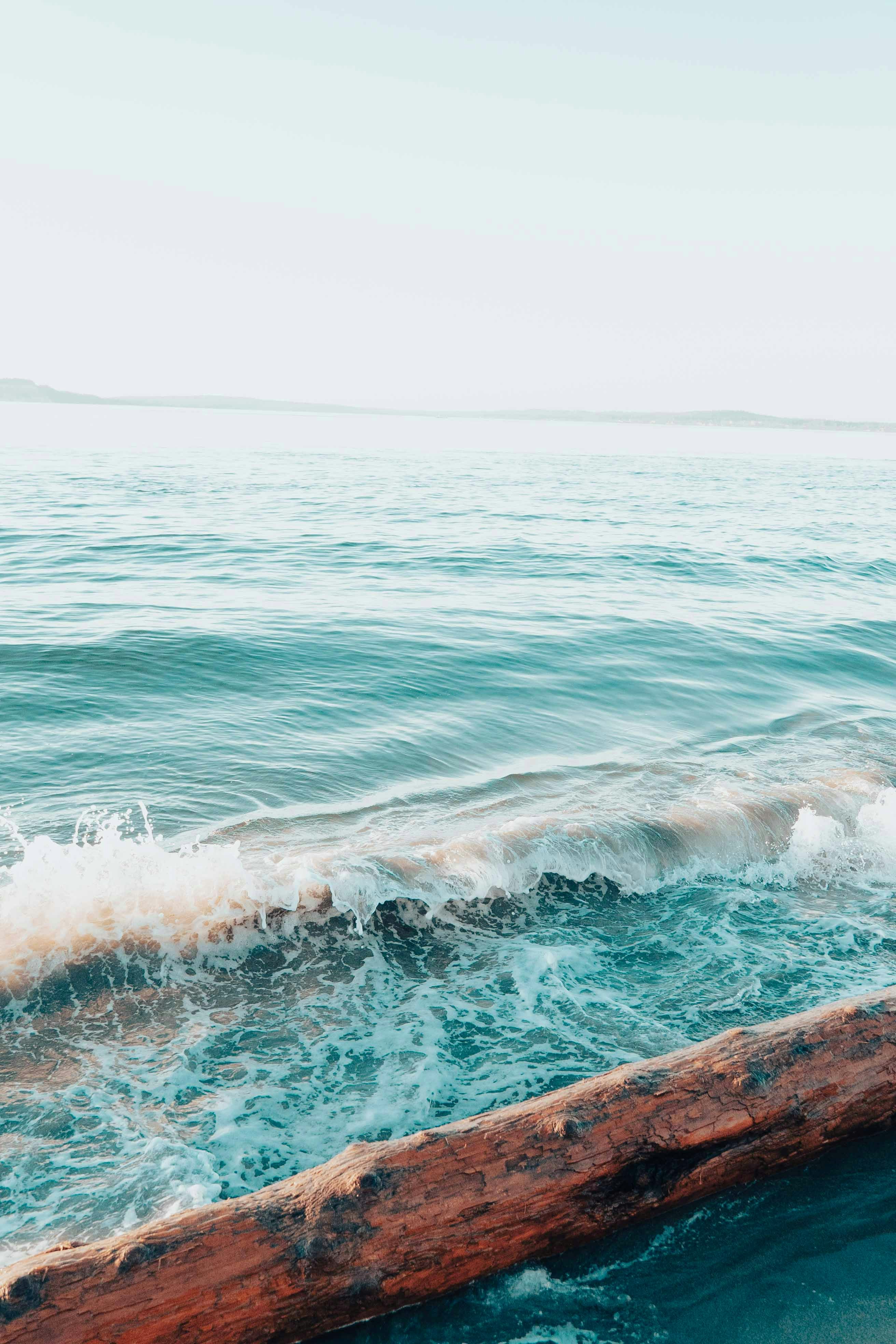 Photo by jeffersonsees