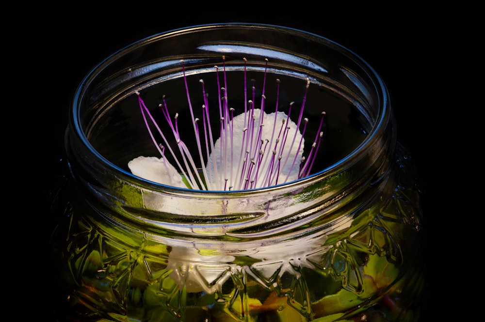 white and pink flower in clear glass jar