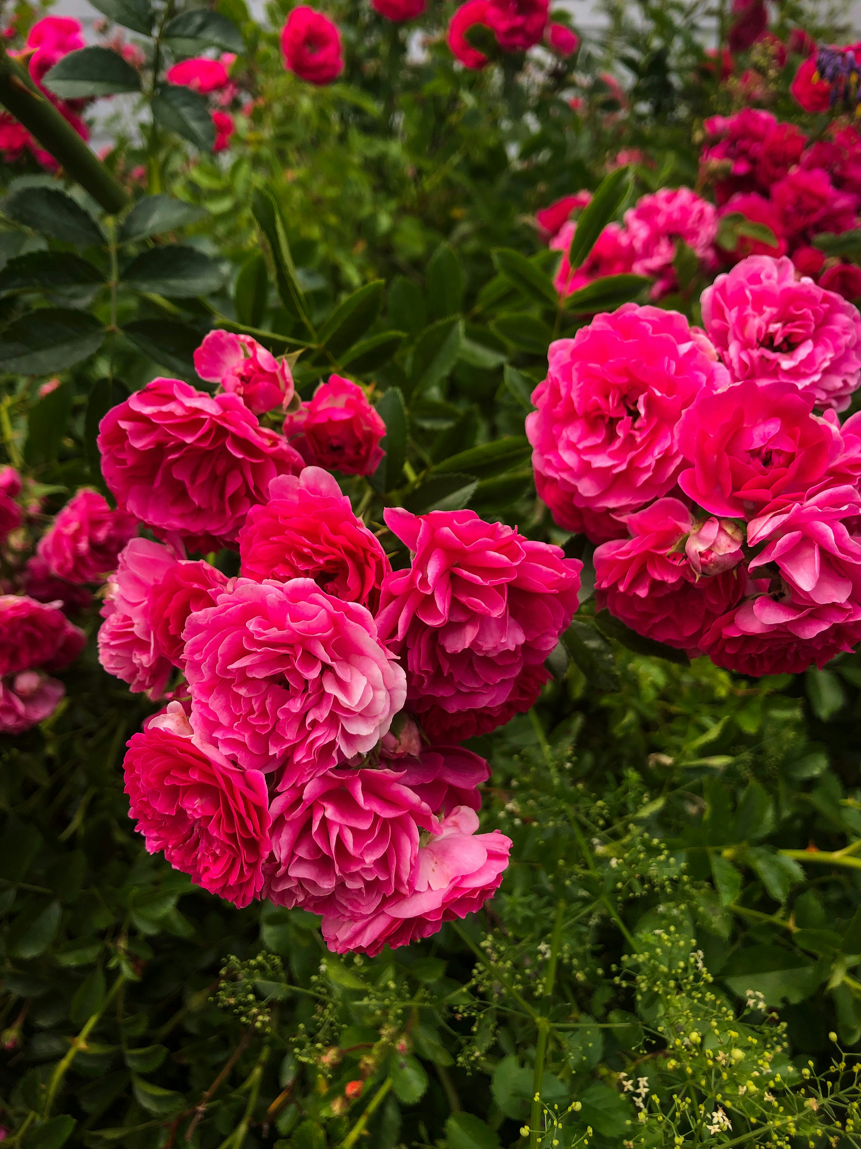 Photo by bonniekdesign