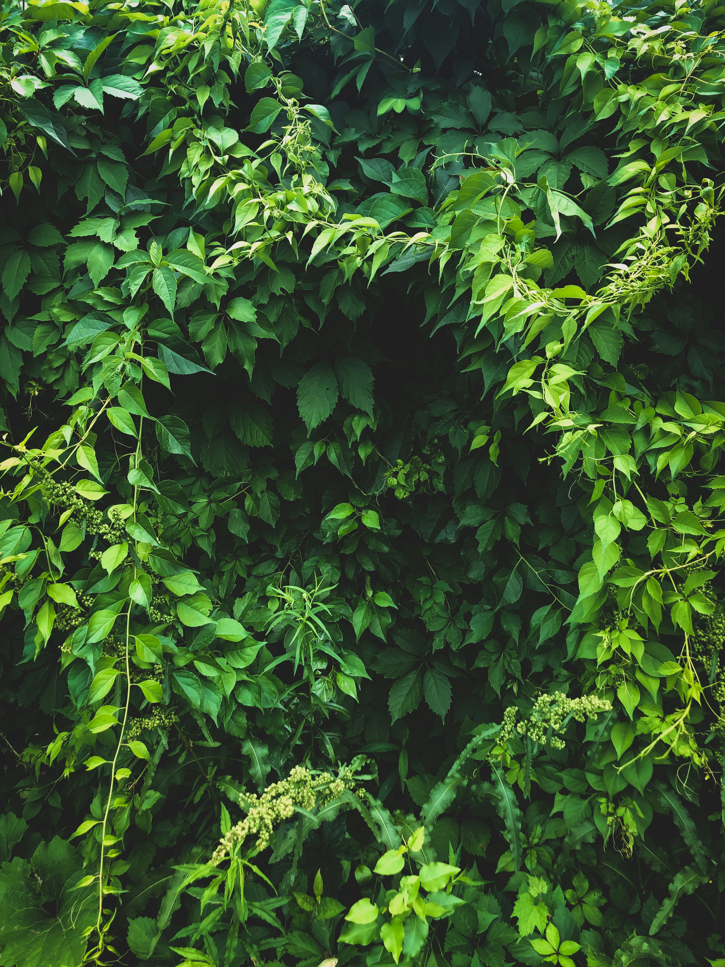 Photo by bonniekdesign