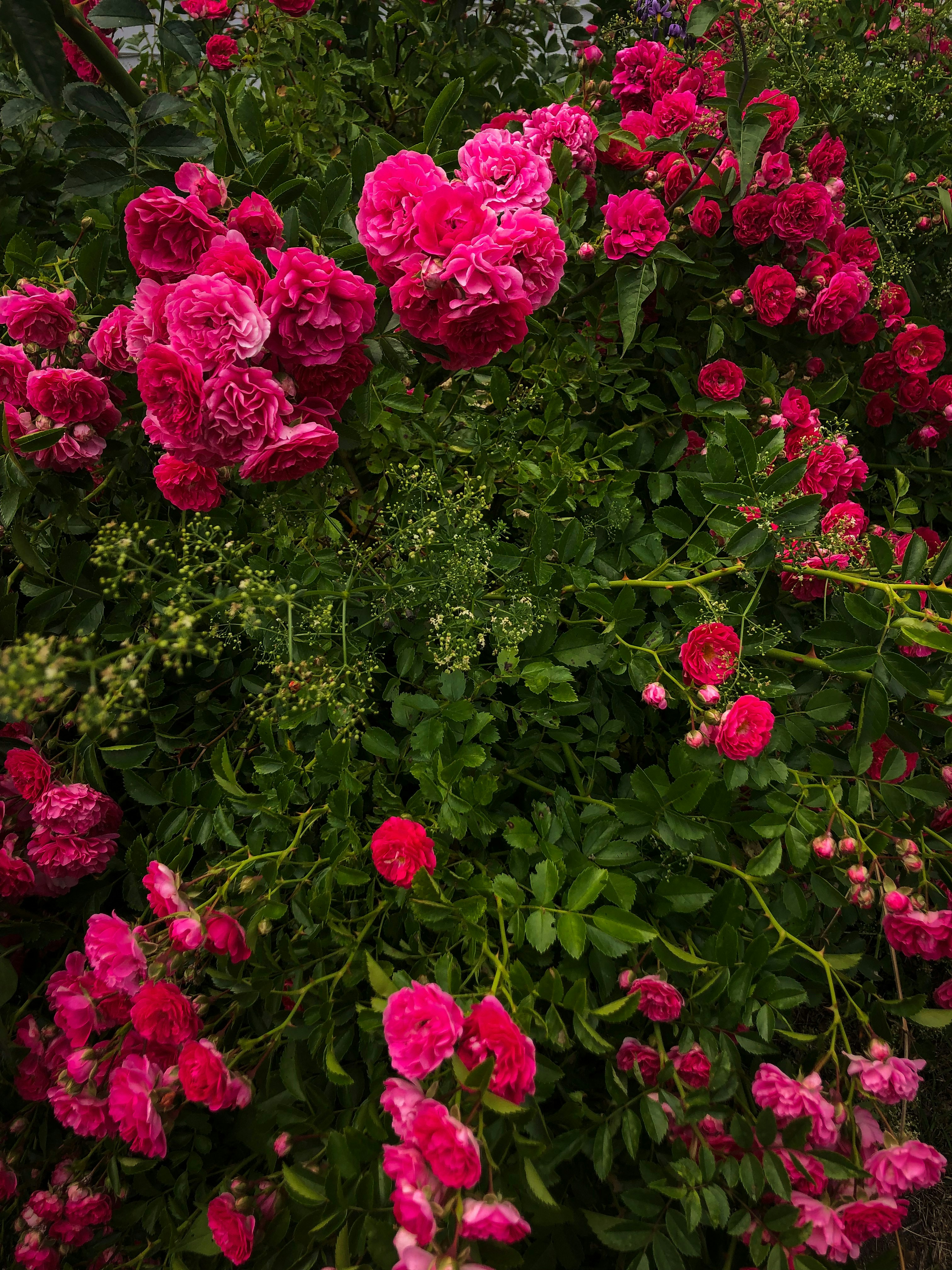 Photo by bonniekdesign