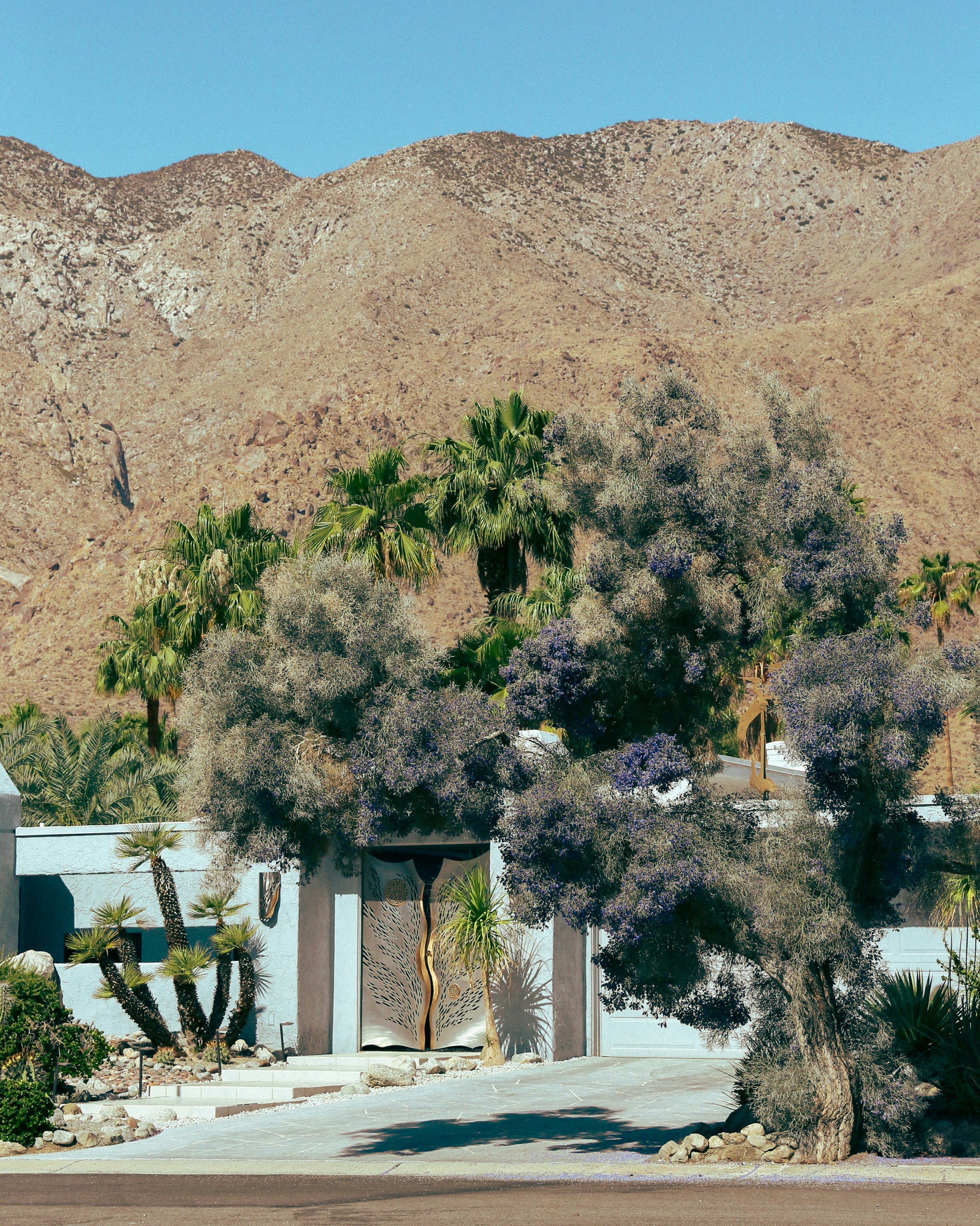 green trees near white concrete building during daytime