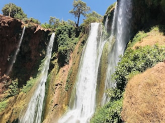 waterfalls in brown and green trees under blue sky during daytime