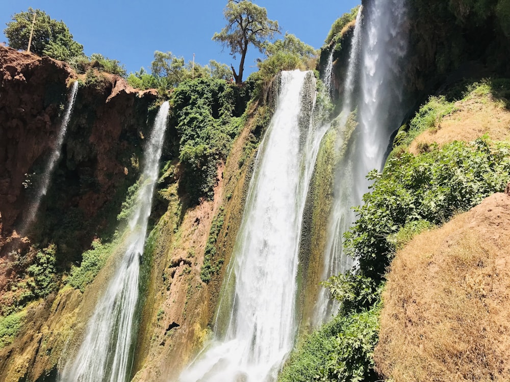 waterfalls in brown and green trees under blue sky during daytime