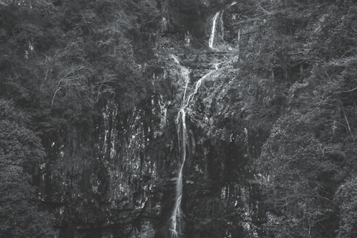 A black and white photograph of a natural landscape with a waterfall cascading down a rocky cliff surrounded by dense forest. The trees are lush and cover much of the surrounding area, creating a rich texture of foliage around the water.