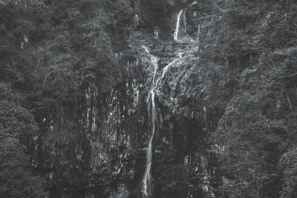 A black and white photograph of a natural landscape with a waterfall cascading down a rocky cliff surrounded by dense forest. The trees are lush and cover much of the surrounding area, creating a rich texture of foliage around the water.