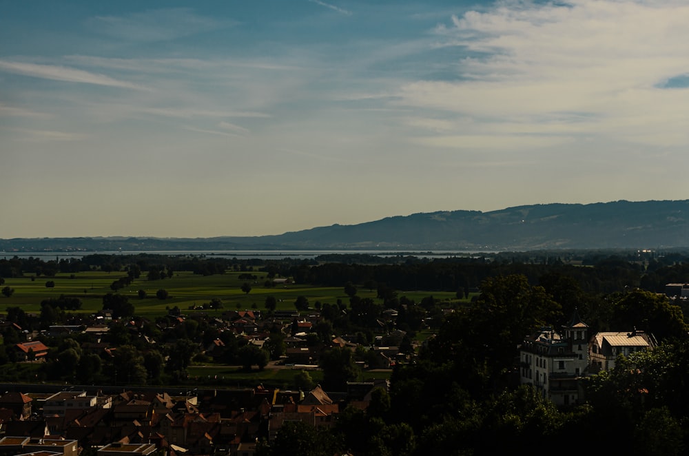 aerial view of city during daytime