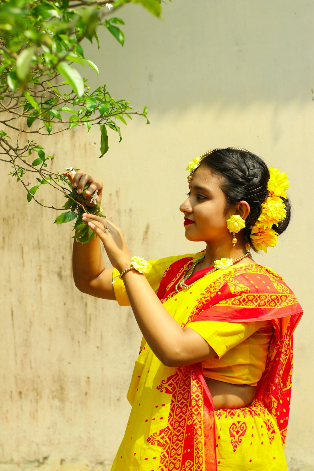 woman in red and yellow sari holding green plant