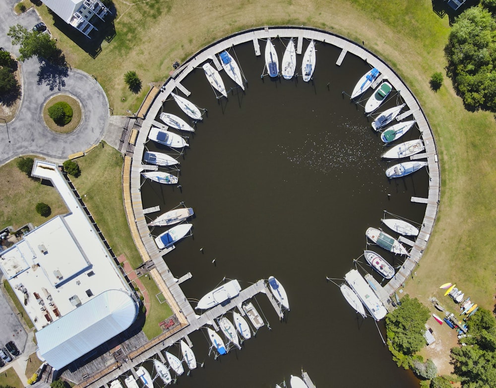 aerial view of body of water during daytime