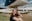 woman in black tank top sitting on green grass field during daytime