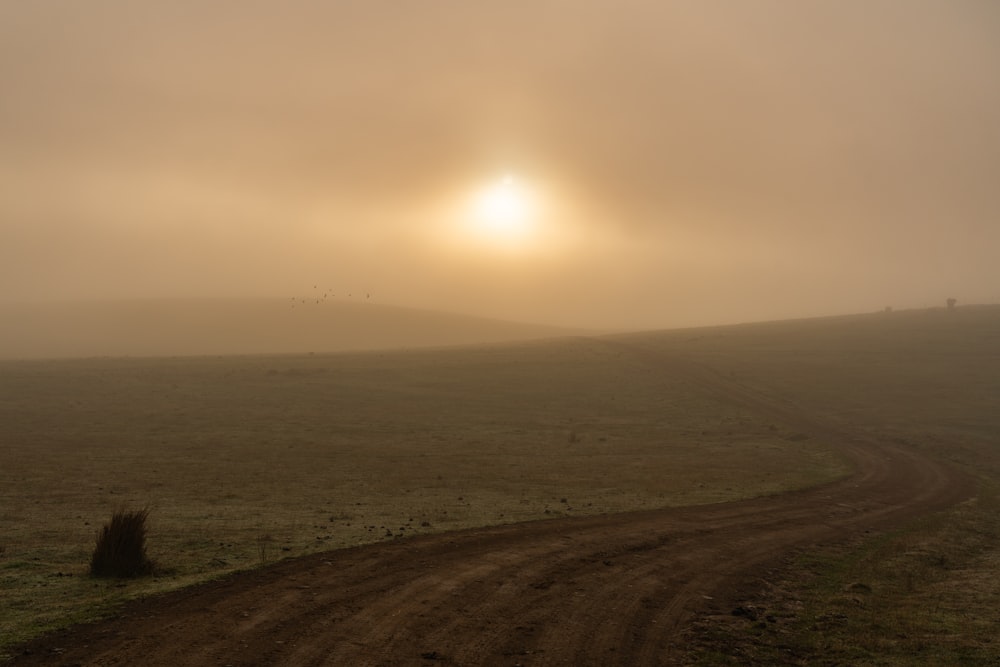 green grass field during sunset