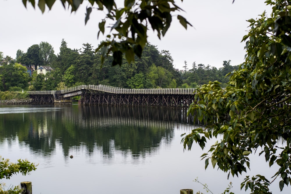 brown wooden bridge over river