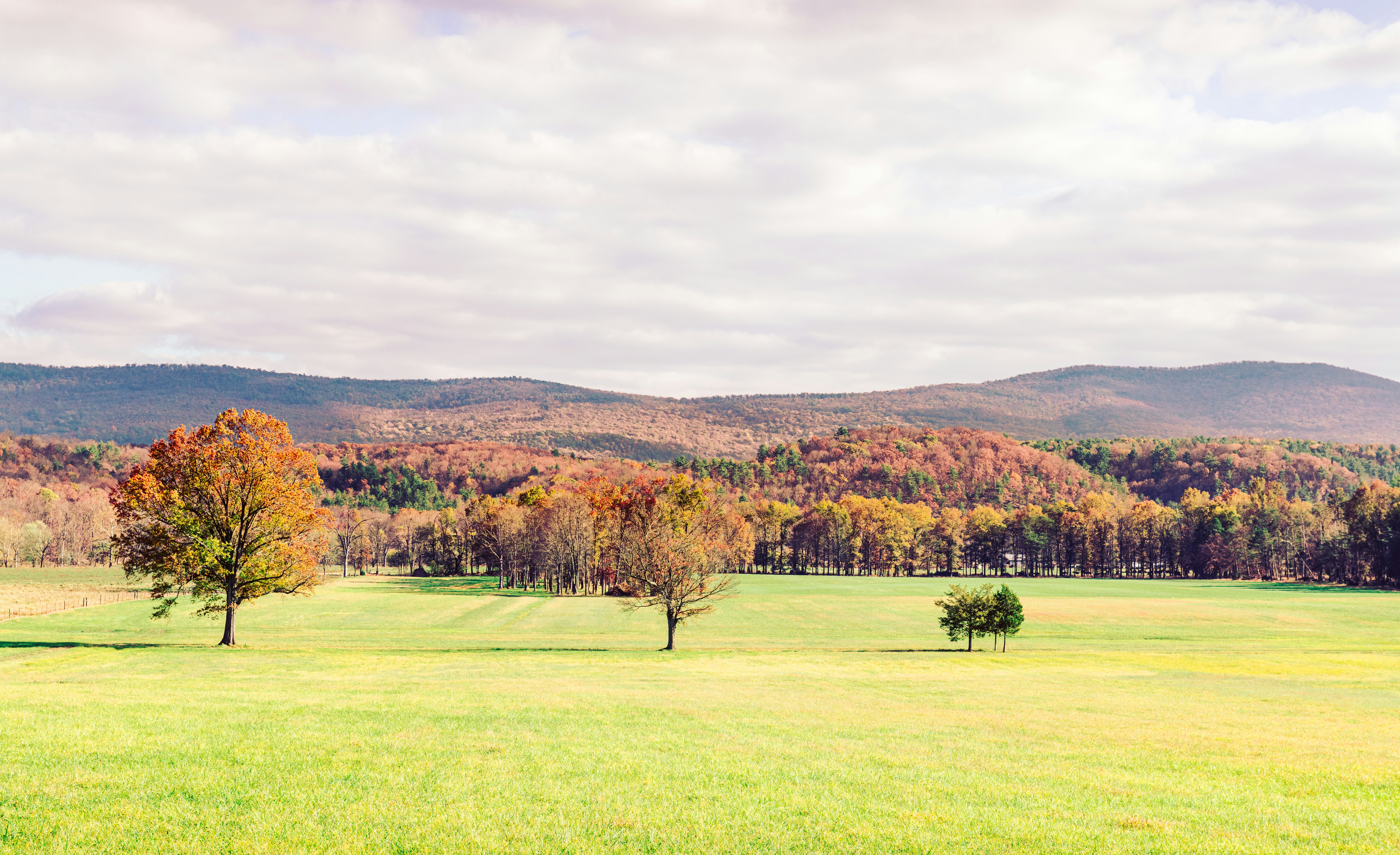 Photo by sriniunsplash