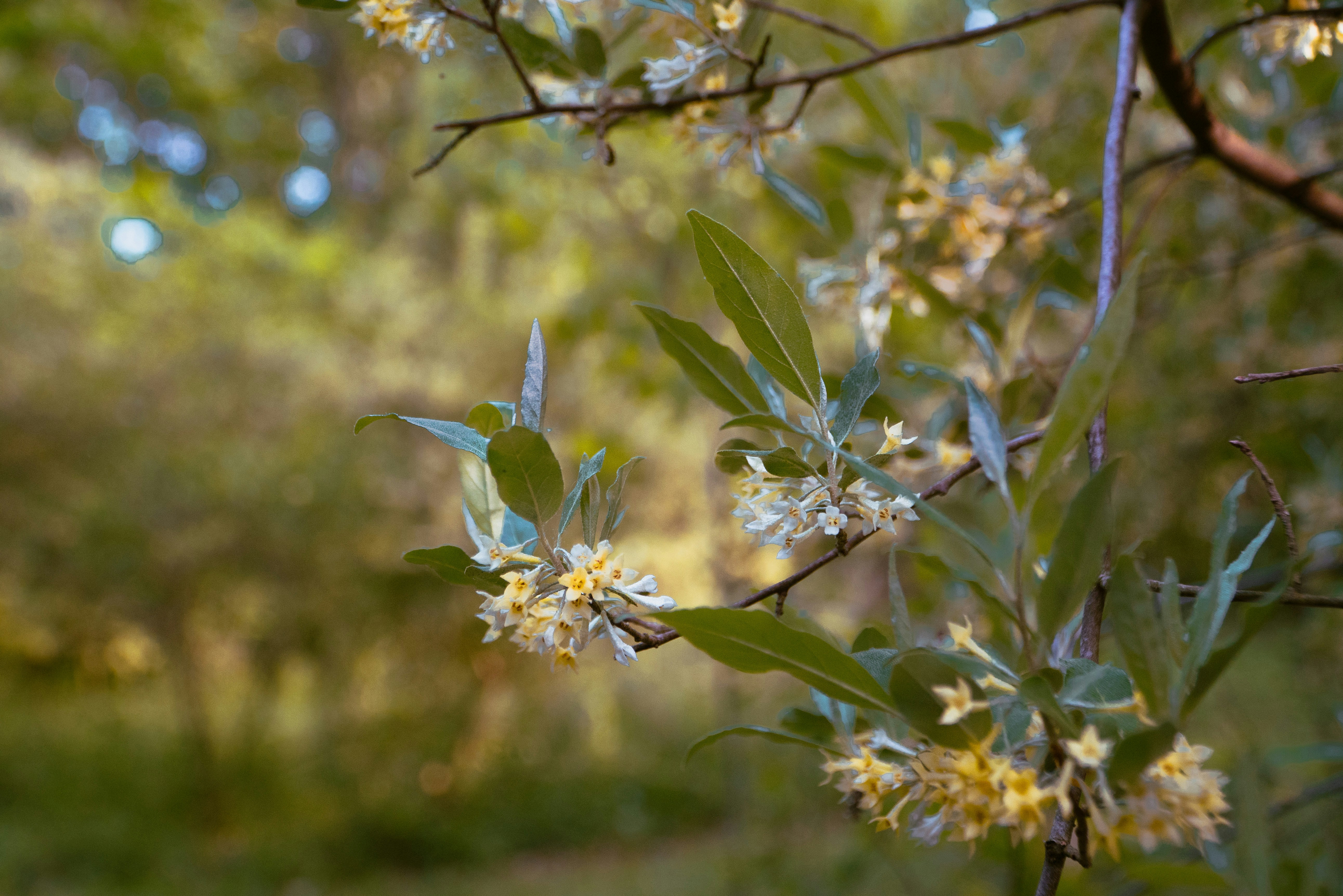 Photo by benjaminzhao