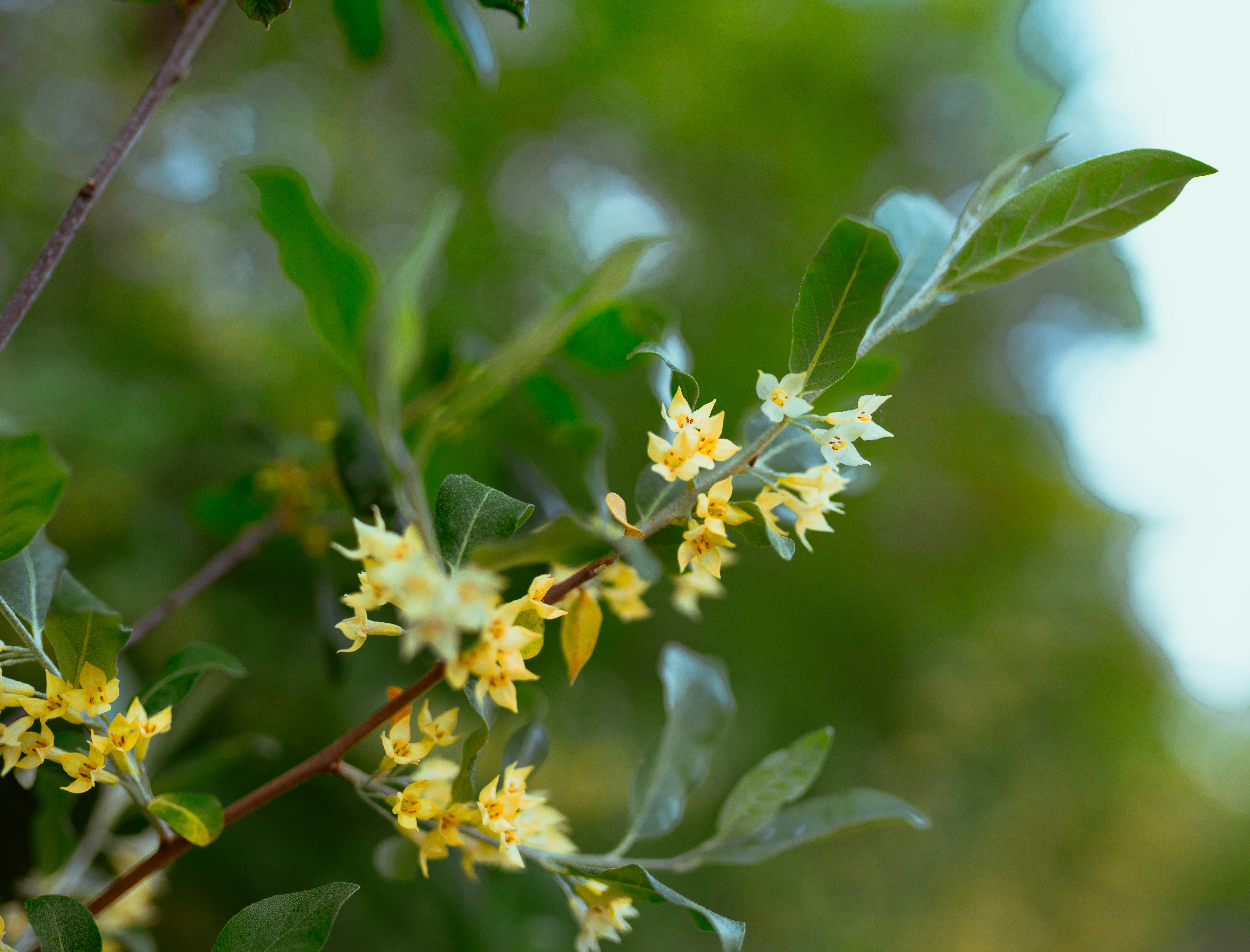 Photo by benjaminzhao