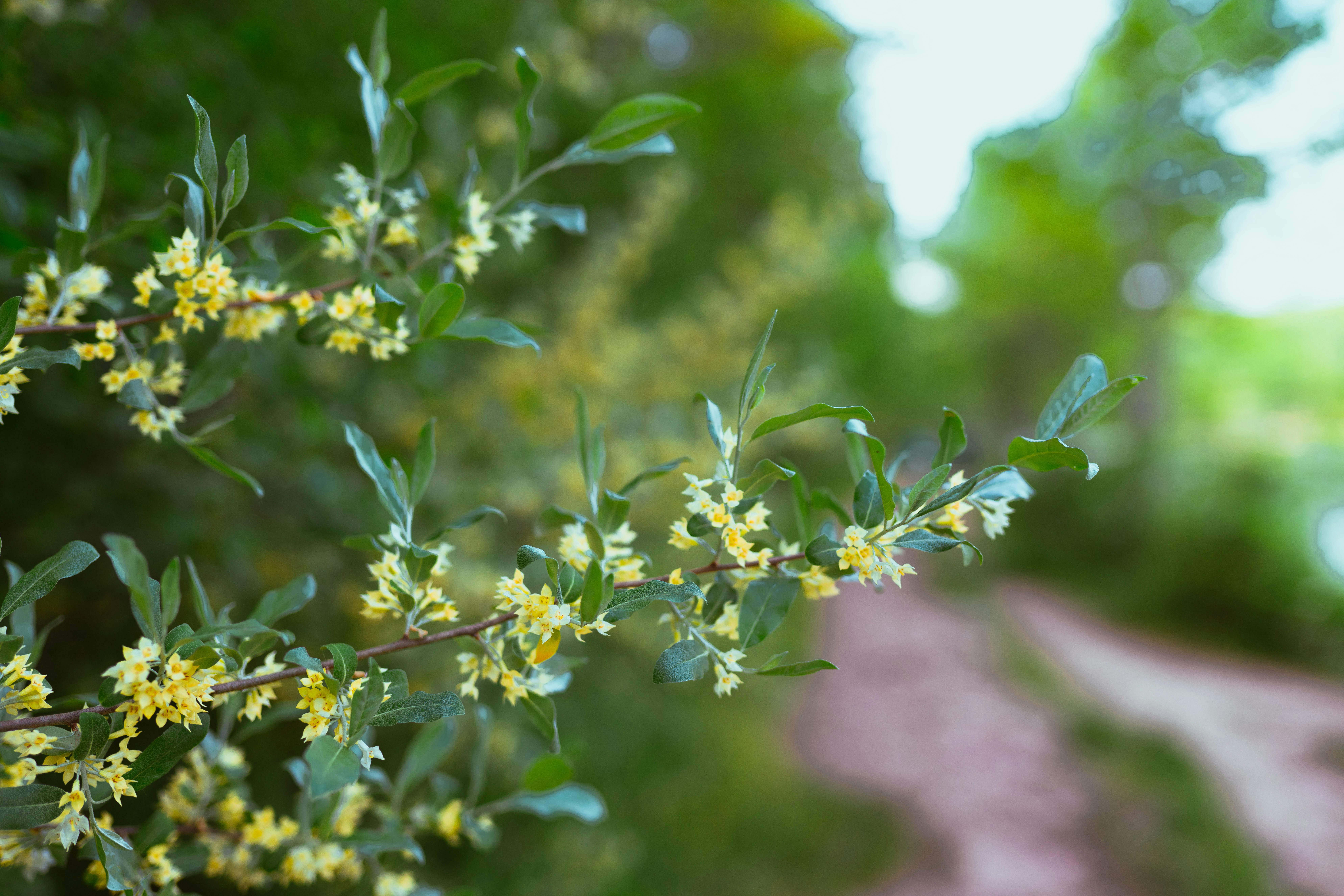 Photo by benjaminzhao