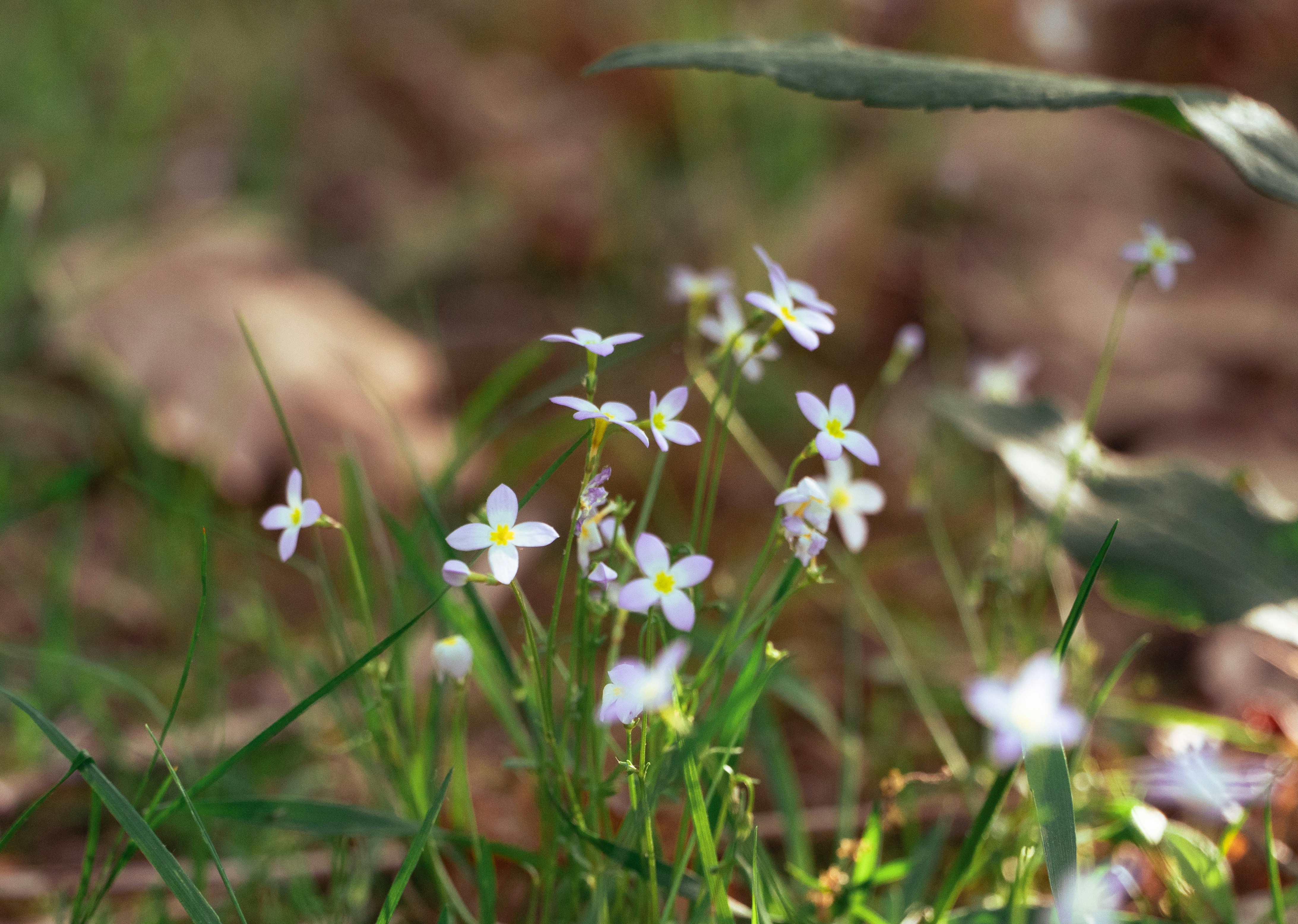 Photo by benjaminzhao